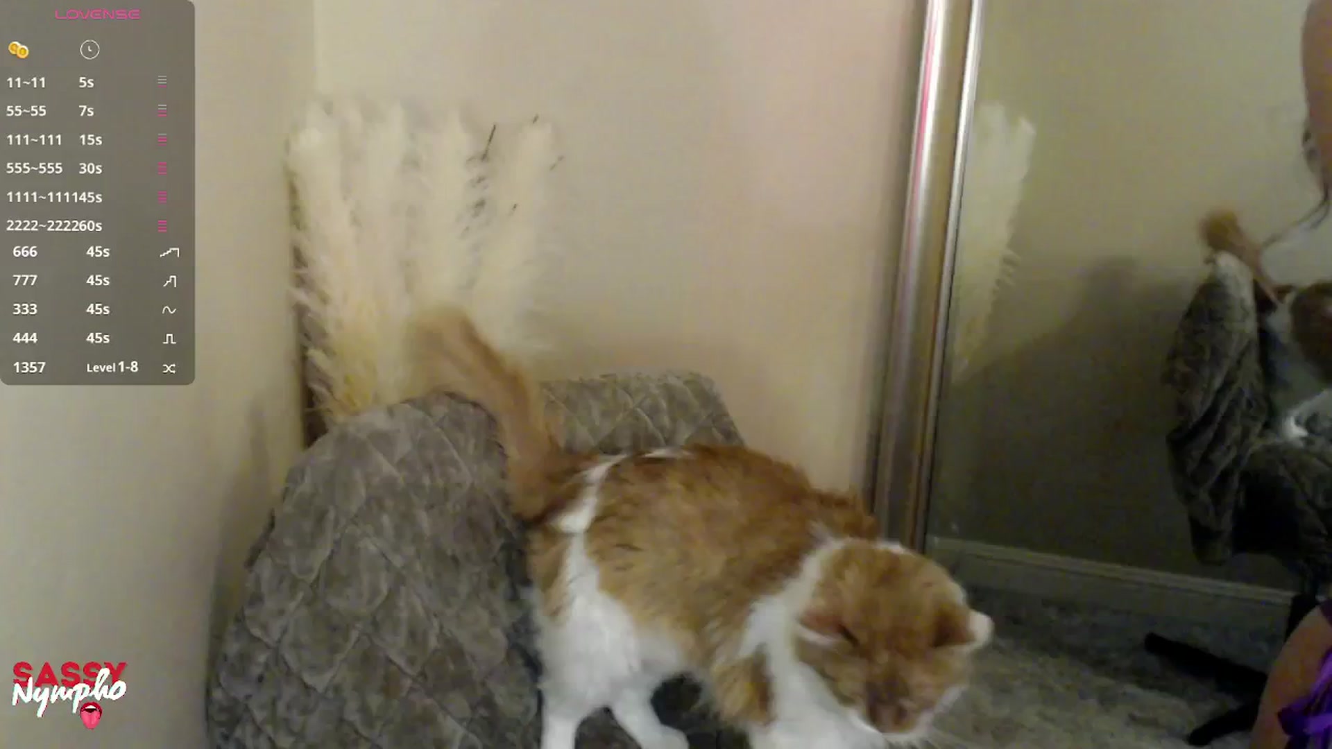 Gallery image thumbnail from Sassy_Nympho's myfreecams stream on, 02/22/2025, 18:21 image 17 of 20