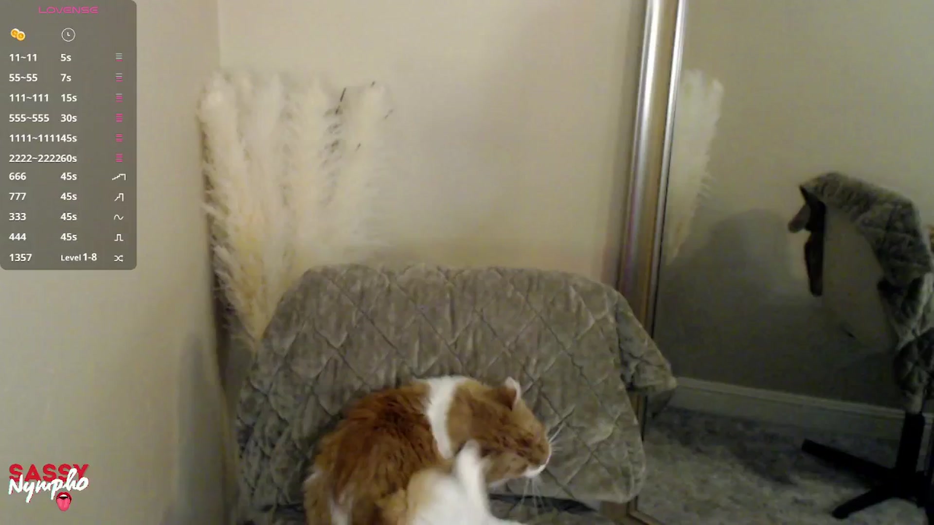 Gallery image thumbnail from Sassy_Nympho's myfreecams stream on, 02/22/2025, 20:52 image 4 of 20