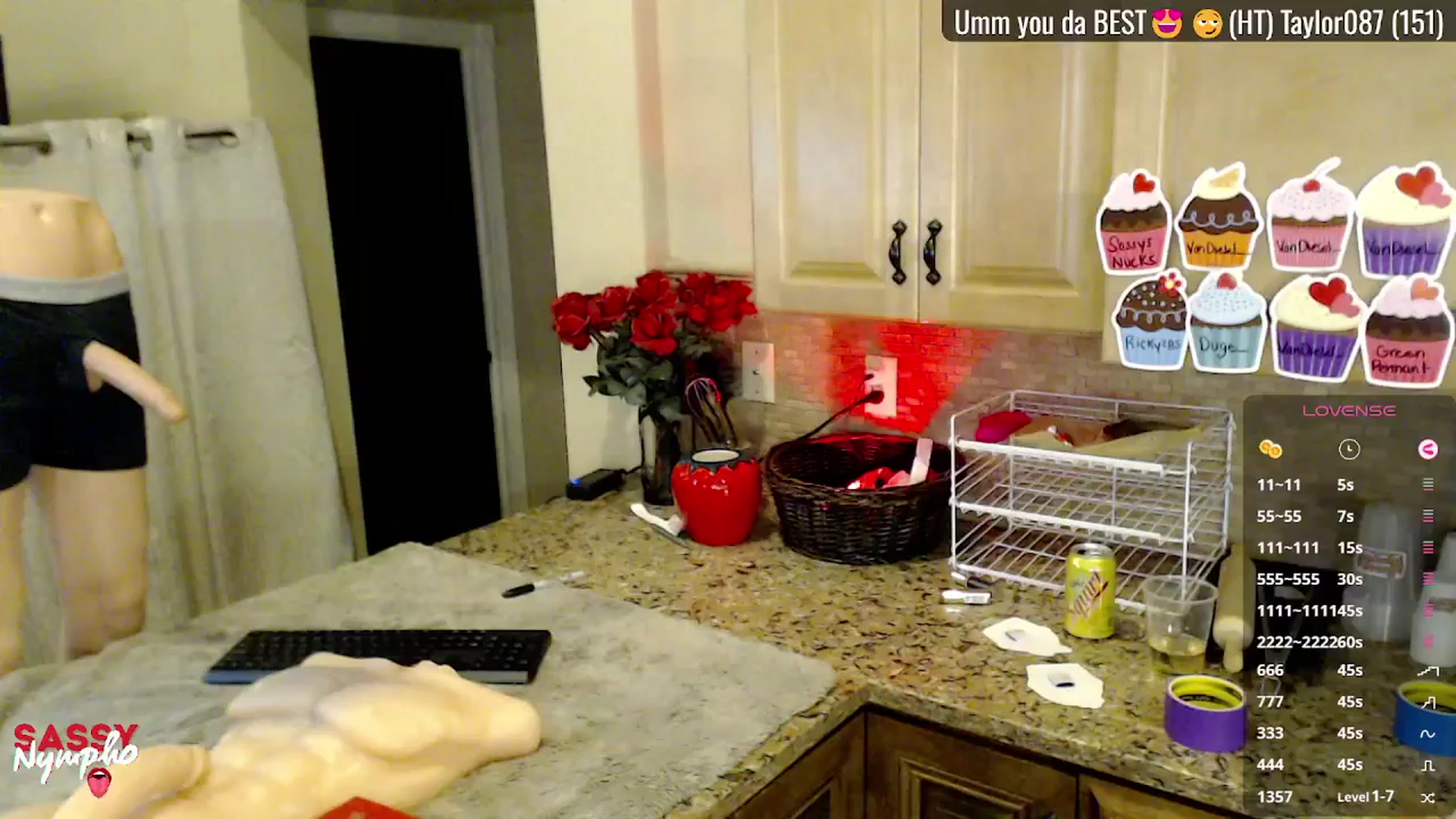 Gallery image thumbnail from Sassy_Nympho's myfreecams stream on, 05/12/2025, 03:47 image 16 of 20