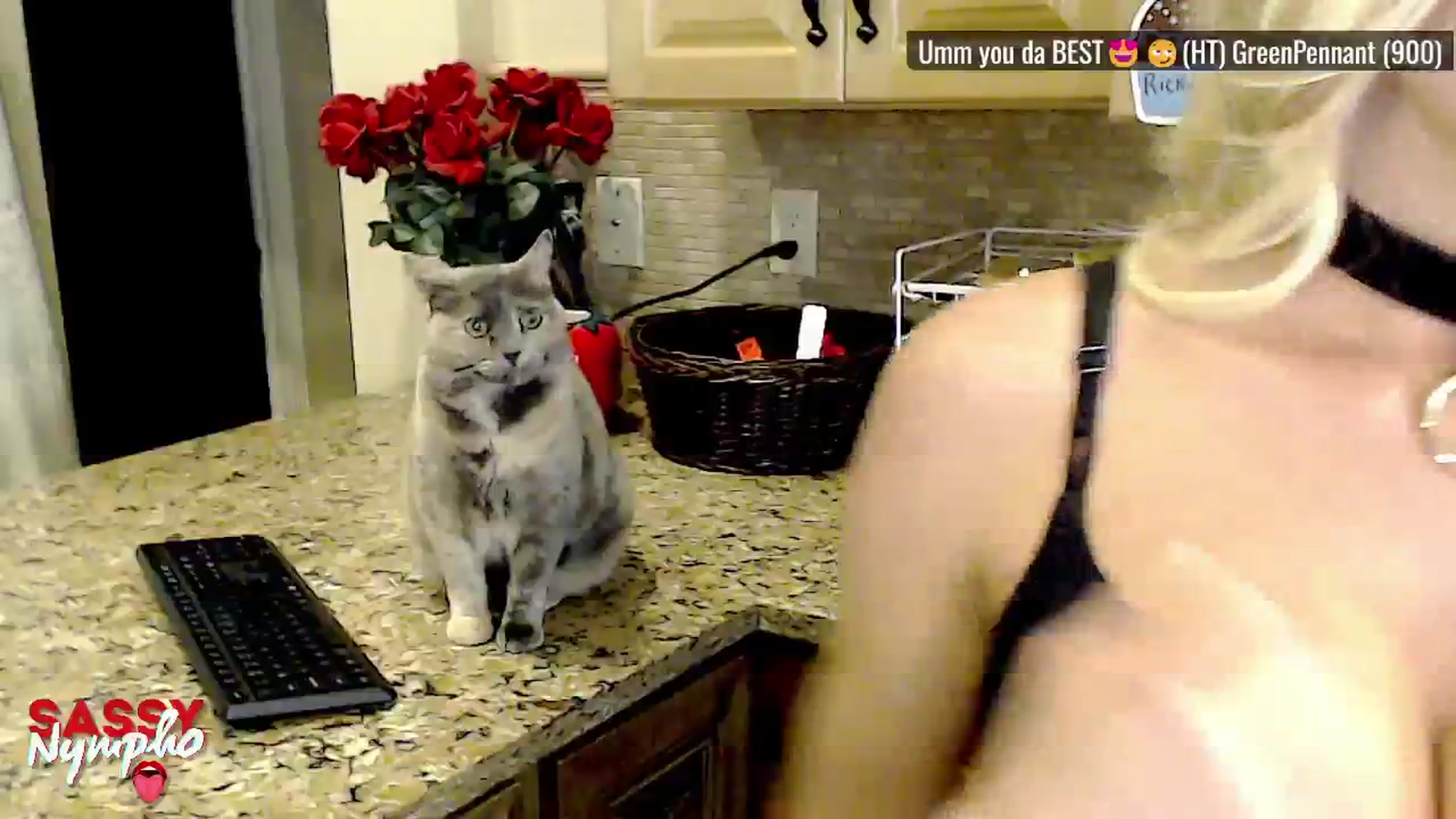 Gallery image thumbnail from Sassy_Nympho's myfreecams stream on, 05/18/2025, 17:39 image 2 of 20