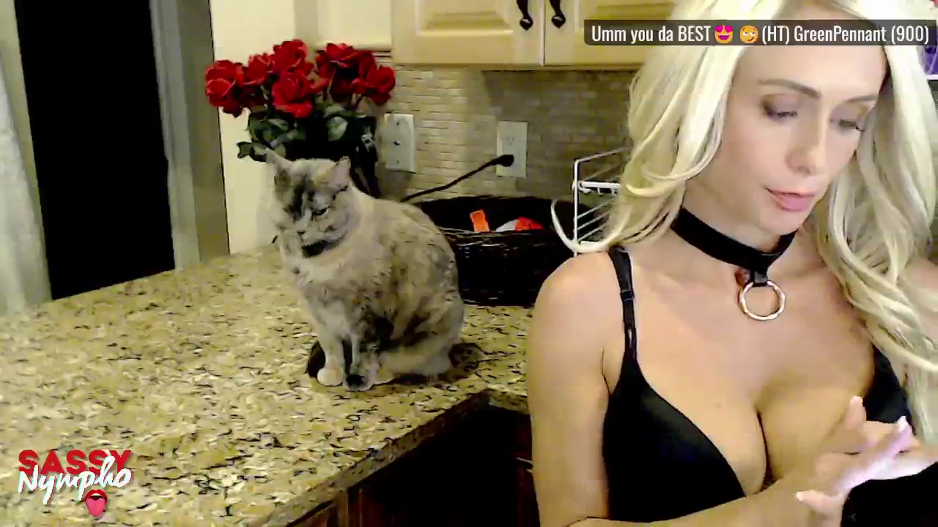 Gallery image thumbnail from Sassy_Nympho's myfreecams stream on, 05/18/2025, 17:39 image 12 of 20