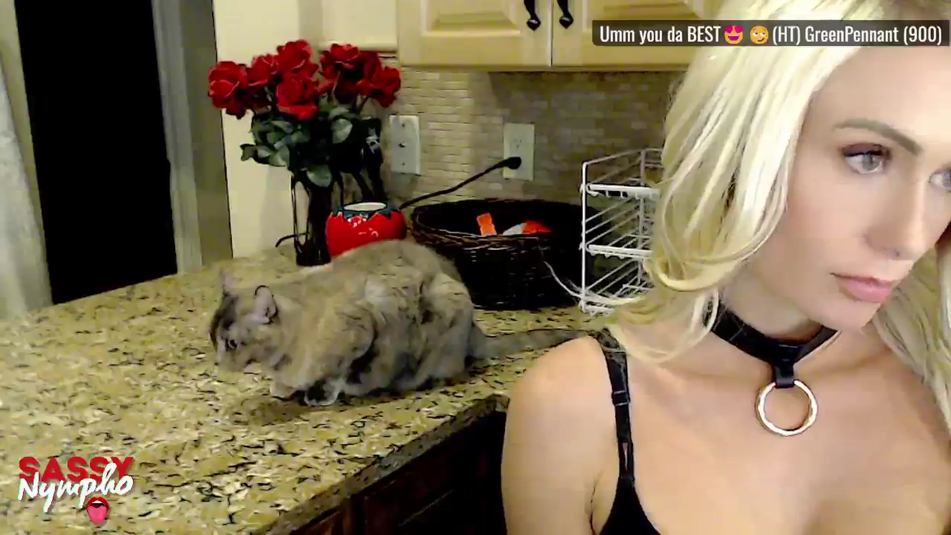Gallery image thumbnail from Sassy_Nympho's myfreecams stream on, 05/18/2025, 17:39 image 10 of 20