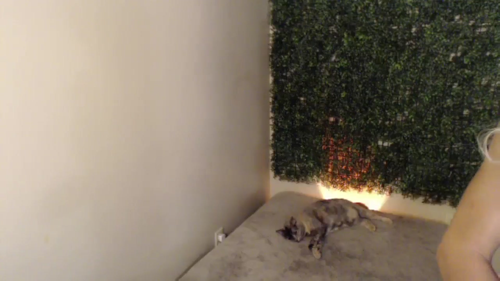 Gallery image thumbnail from Sassy_Nympho's myfreecams stream on, 06/07/2025, 10:31 image 4 of 20
