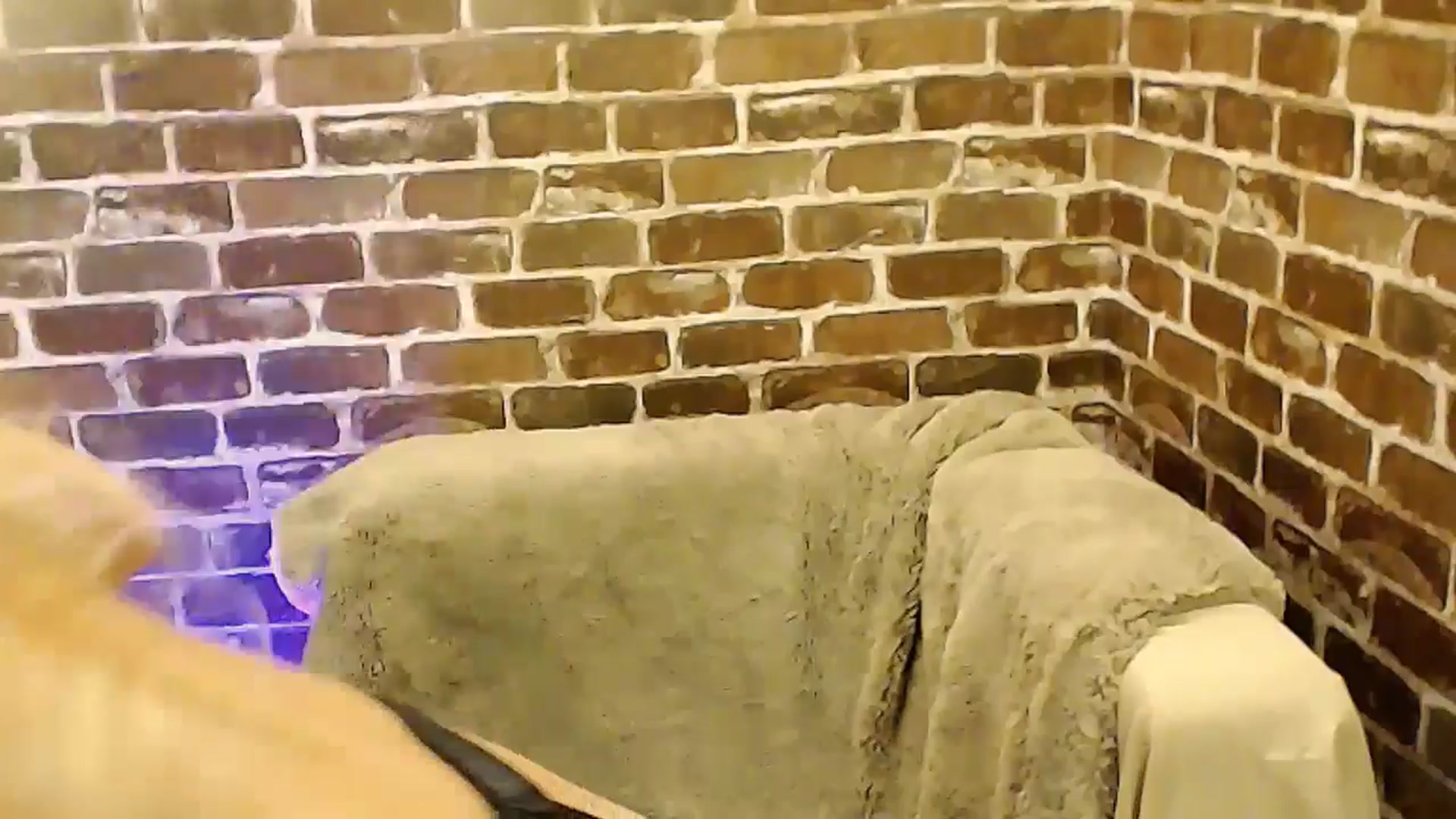 Gallery image thumbnail from Sassy_Nympho's myfreecams stream on, 09/27/2025, 17:50 image 6 of 20