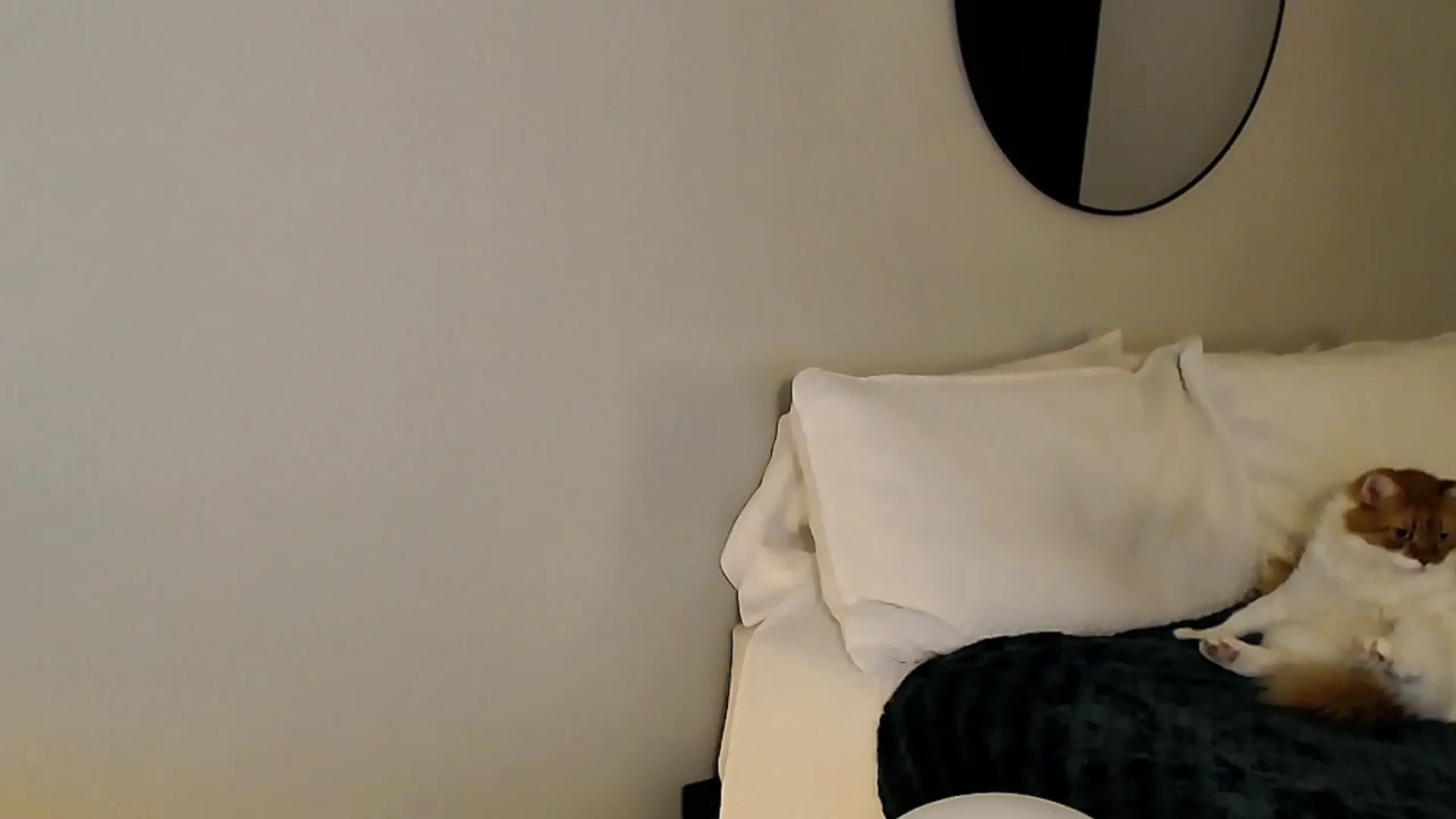 Gallery image thumbnail from Sassy_Nympho's myfreecams stream on, 11/26/2025, 09:32 image 3 of 20