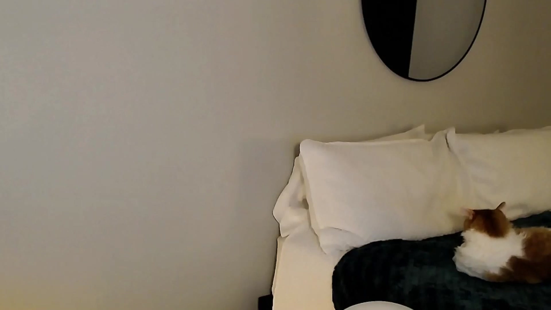 Gallery image thumbnail from Sassy_Nympho's myfreecams stream on, 11/26/2025, 09:32 image 4 of 20