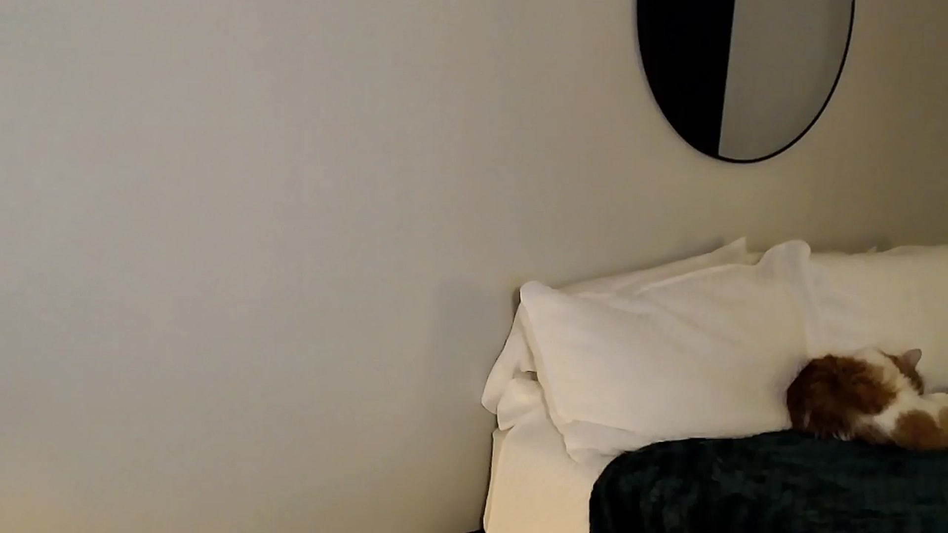 Gallery image thumbnail from Sassy_Nympho's myfreecams stream on, 11/26/2025, 10:21 image 5 of 20