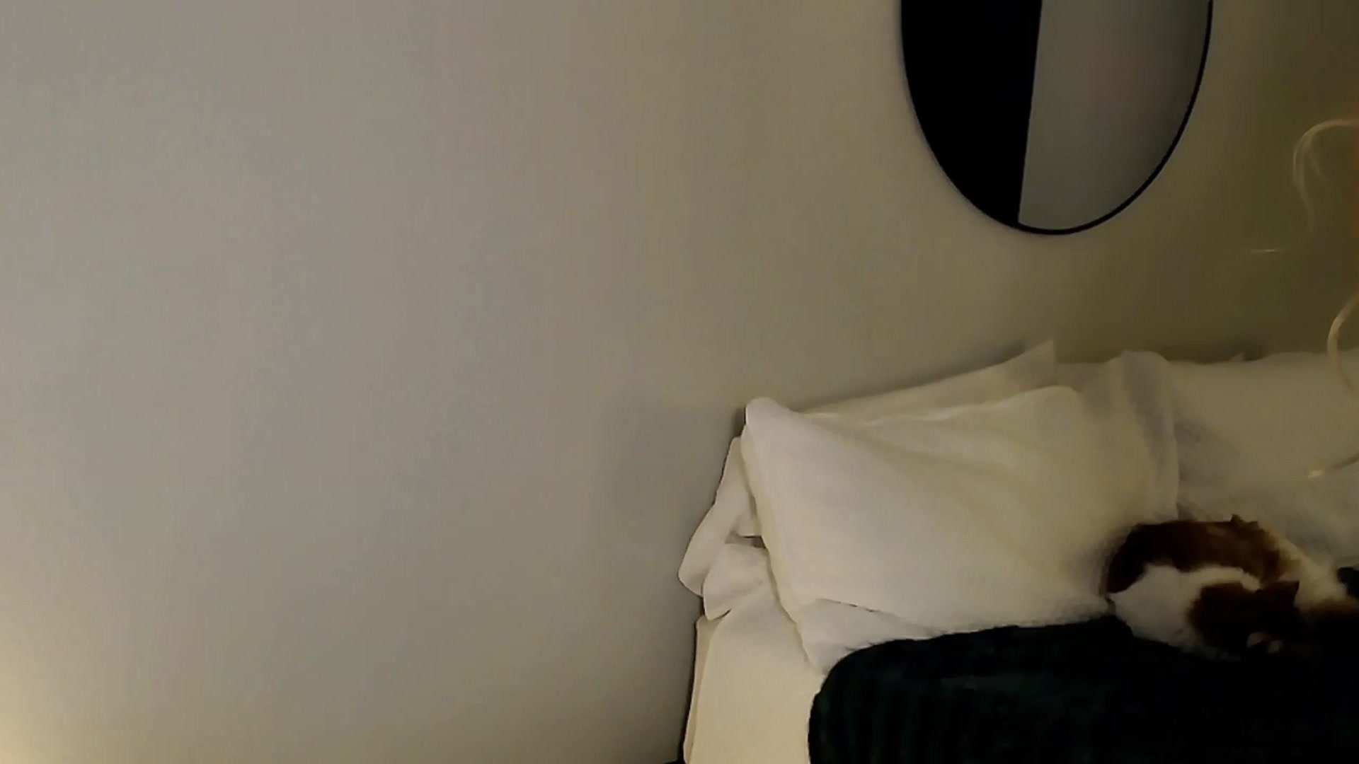 Gallery image thumbnail from Sassy_Nympho's myfreecams stream on, 11/26/2025, 23:34 image 15 of 20