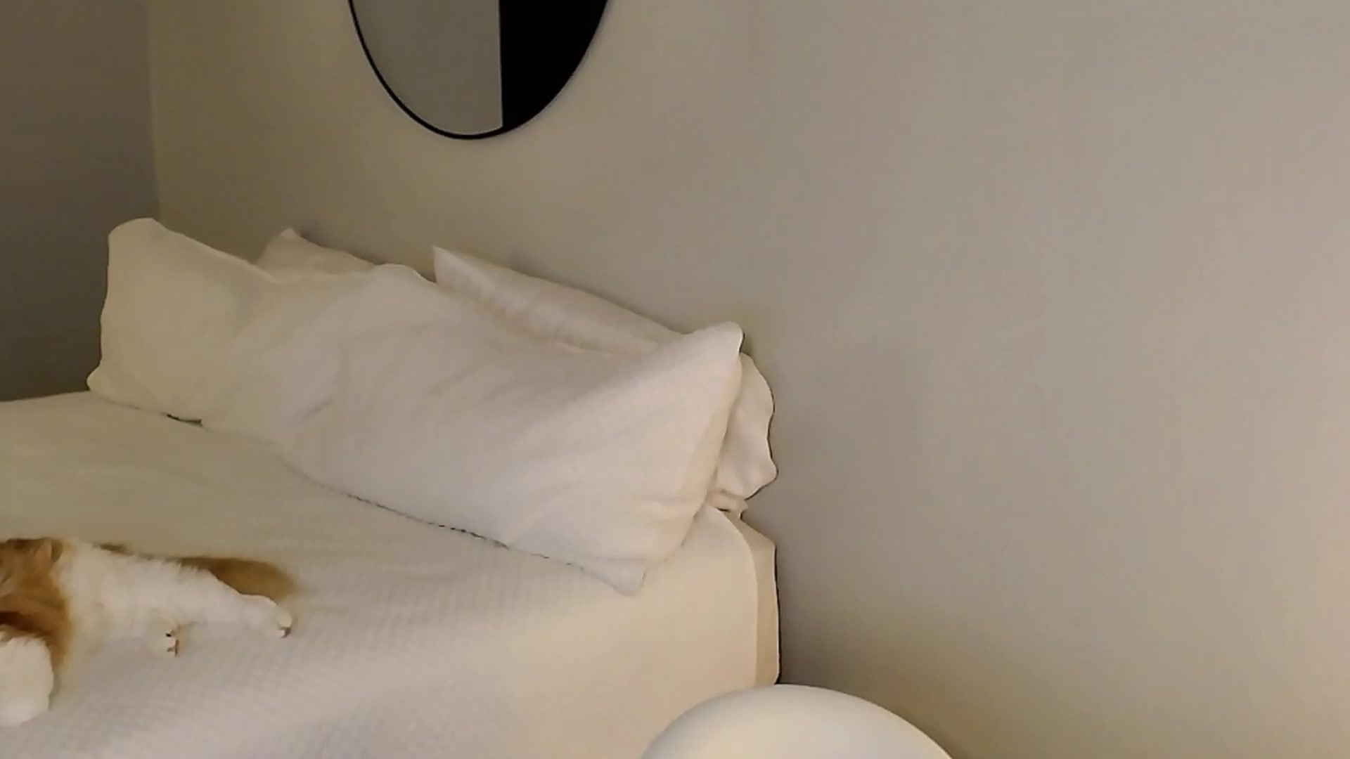 Gallery image thumbnail from Sassy_Nympho's myfreecams stream on, 11/30/2025, 07:26 image 16 of 20