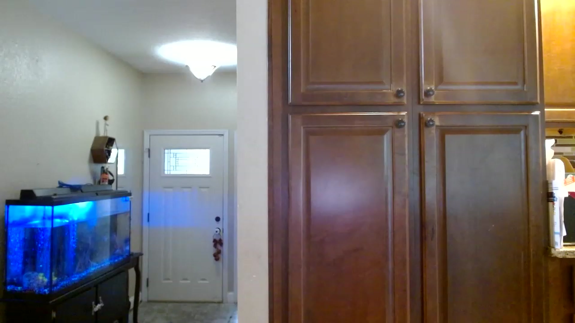 Gallery image thumbnail from Sassy_Skye's myfreecams stream on, 06/02/2023, 19:35 image 16 of 20