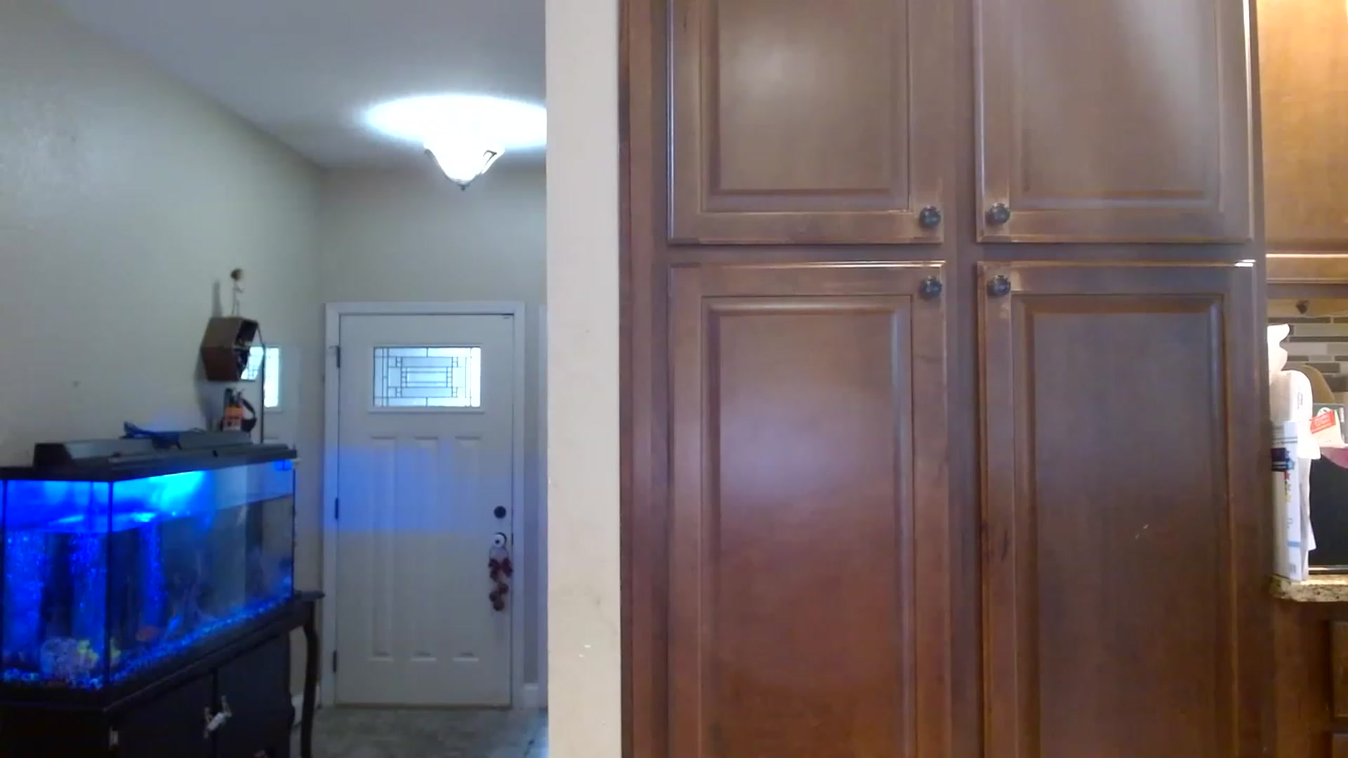 Gallery image thumbnail from Sassy_Skye's myfreecams stream on, 06/02/2023, 19:35 image 11 of 20