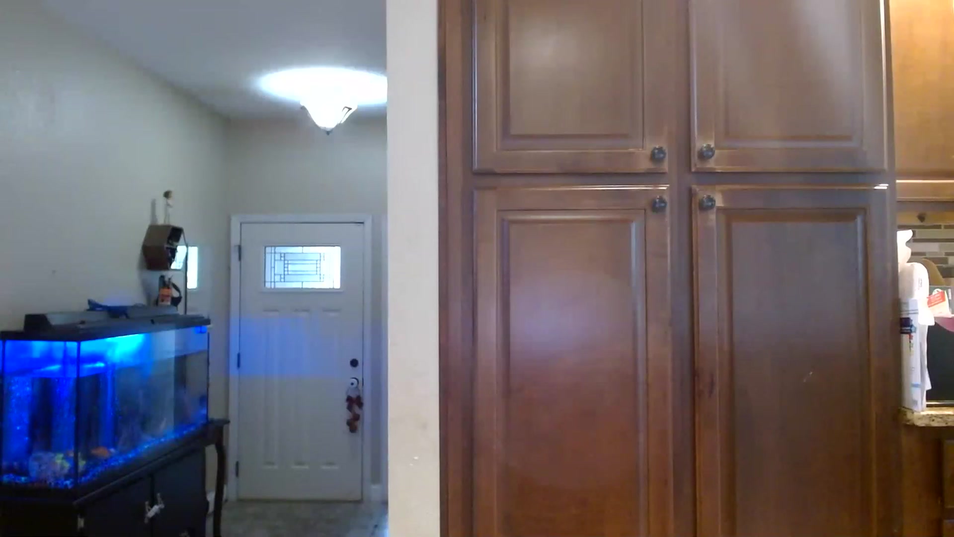Gallery image thumbnail from Sassy_Skye's myfreecams stream on, 06/02/2023, 19:35 image 9 of 20