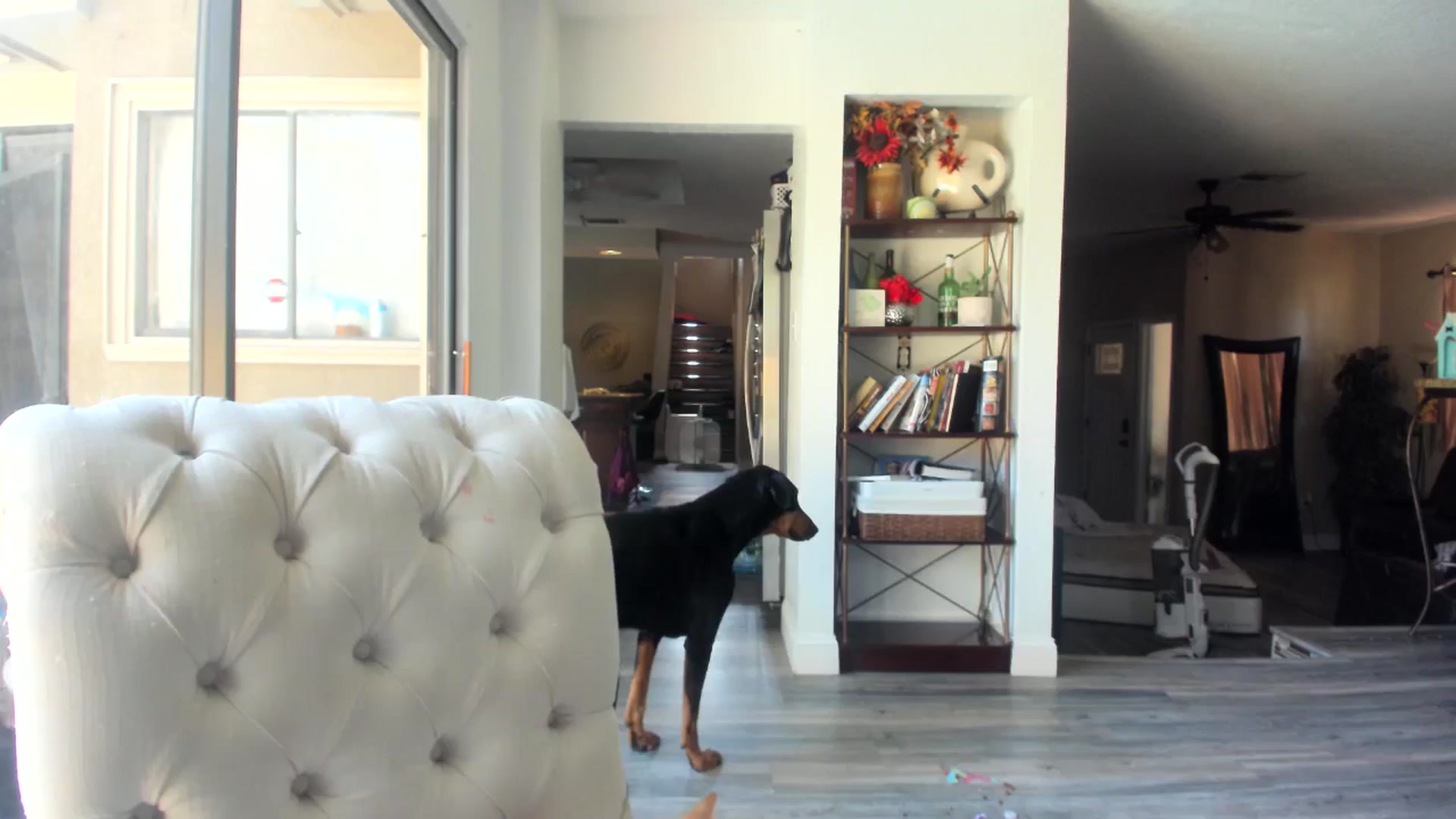 Gallery image thumbnail from Sassy_Skye's myfreecams stream on, 06/03/2024, 14:39 image 4 of 20