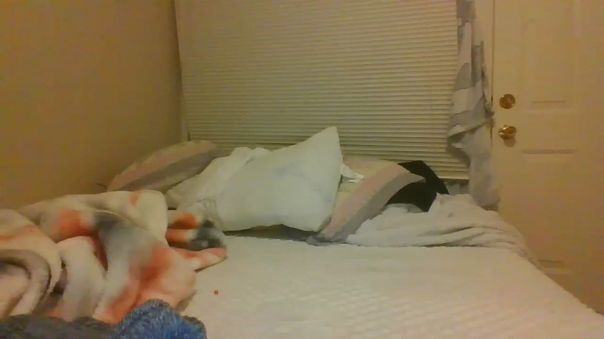 Gallery image thumbnail from Sauuucyb23's myfreecams stream on, 12/12/2022, 02:08 image 11 of 20