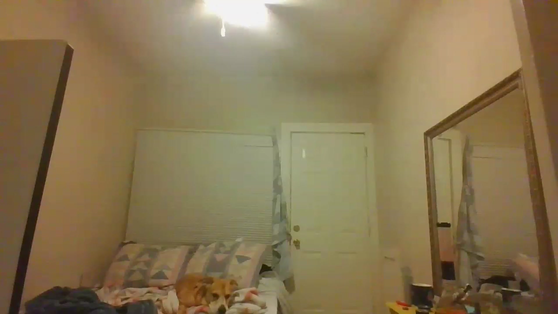 Gallery image thumbnail from Sauuucyb23's myfreecams stream on, 12/12/2022, 02:42 image 17 of 20