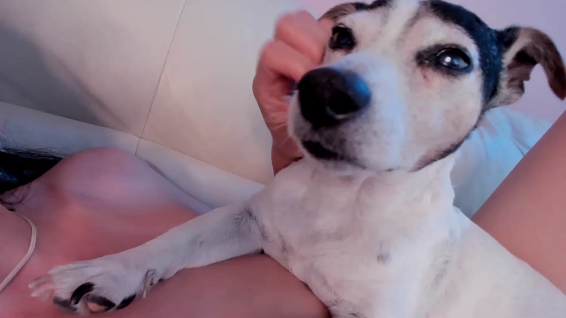Gallery image thumbnail from SavannahMay's myfreecams stream on, 06/24/2023, 14:29 image 18 of 20