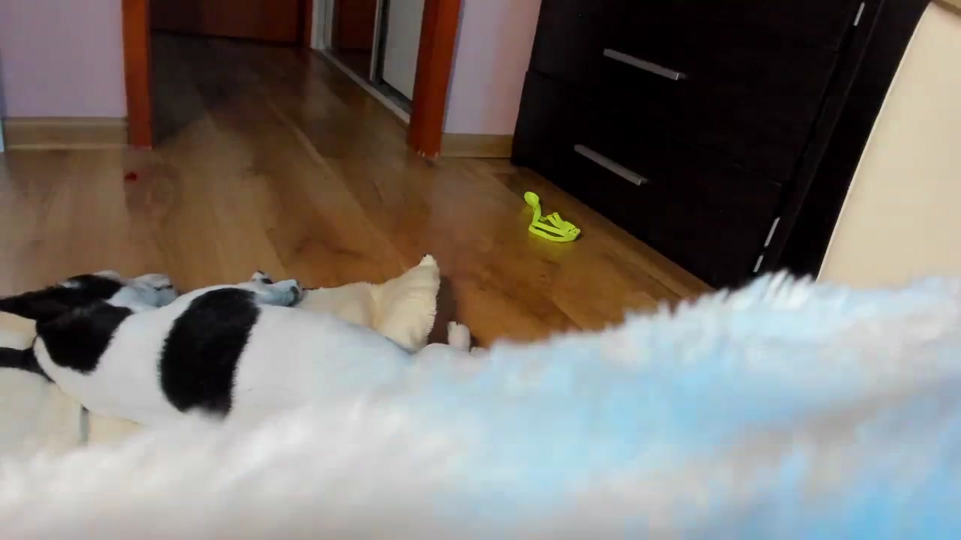 Gallery image thumbnail from SavannahMay's myfreecams stream on, 07/23/2023, 22:21 image 10 of 20