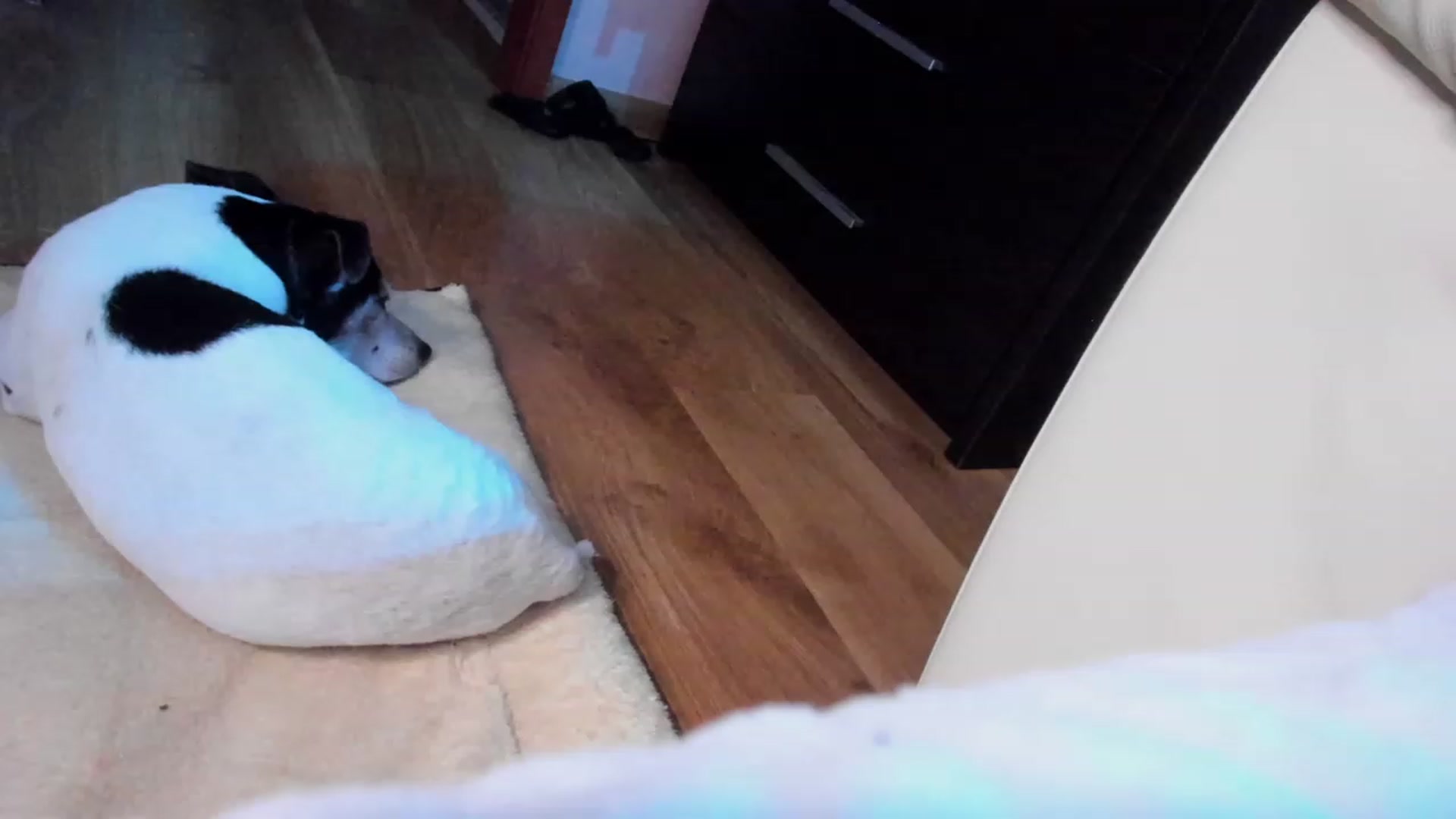 Gallery image thumbnail from SavannahMay's myfreecams stream on, 08/04/2023, 23:14 image 5 of 20