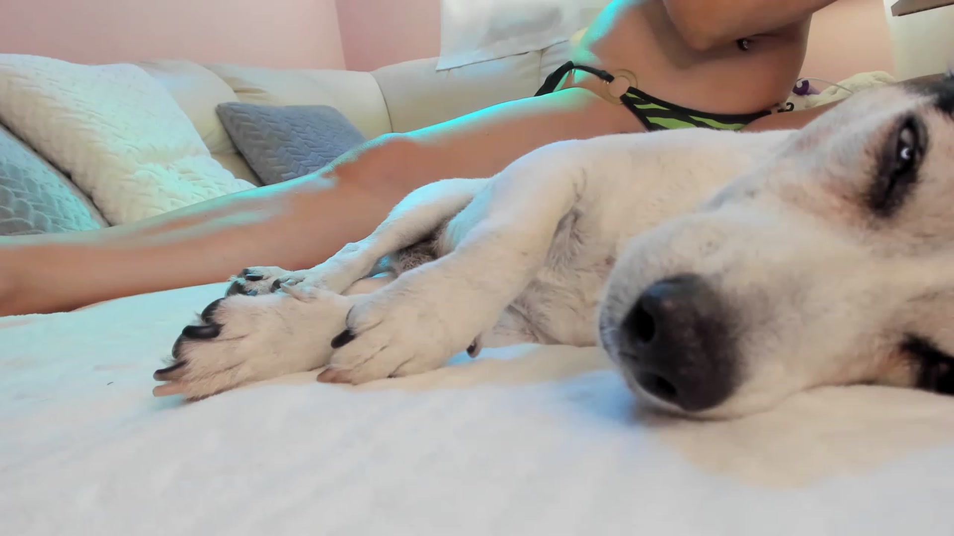 Gallery image thumbnail from SavannahMay's myfreecams stream on, 08/17/2023, 14:42 image 3 of 20