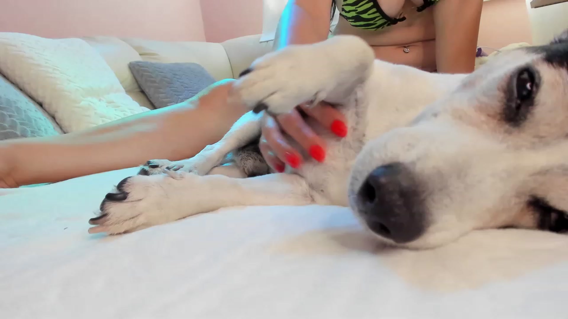 Gallery image thumbnail from SavannahMay's myfreecams stream on, 08/17/2023, 14:42 image 2 of 20