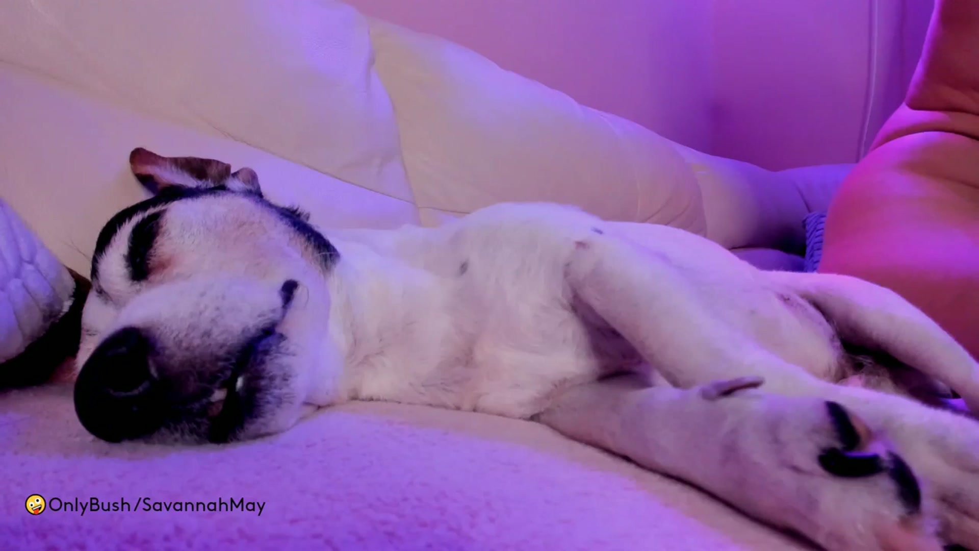 Gallery image thumbnail from SavannahMay's myfreecams stream on, 12/03/2023, 24:00 image 13 of 20