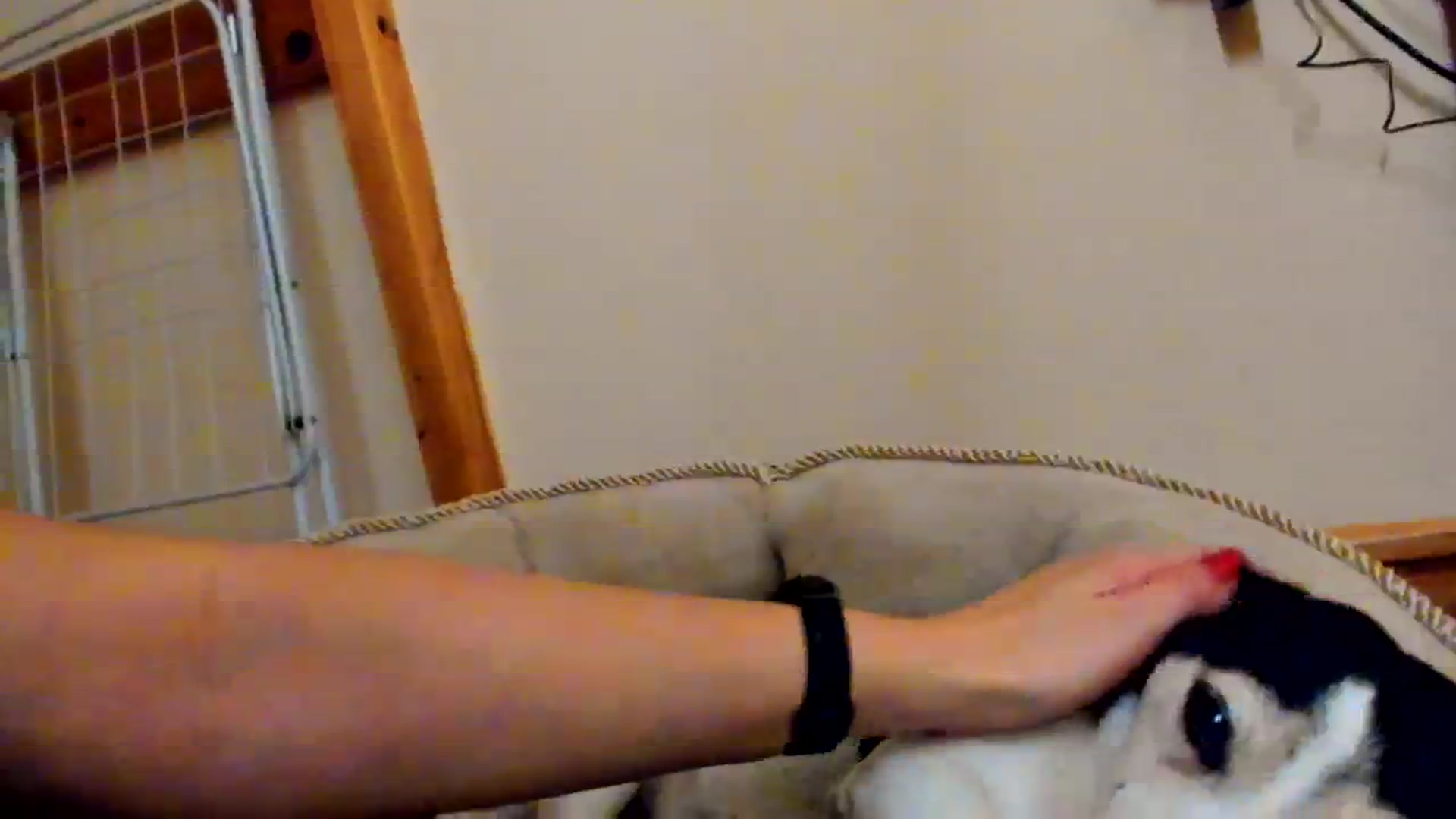 Gallery image thumbnail from SavannahMay's myfreecams stream on, 03/01/2024, 23:09 image 10 of 20