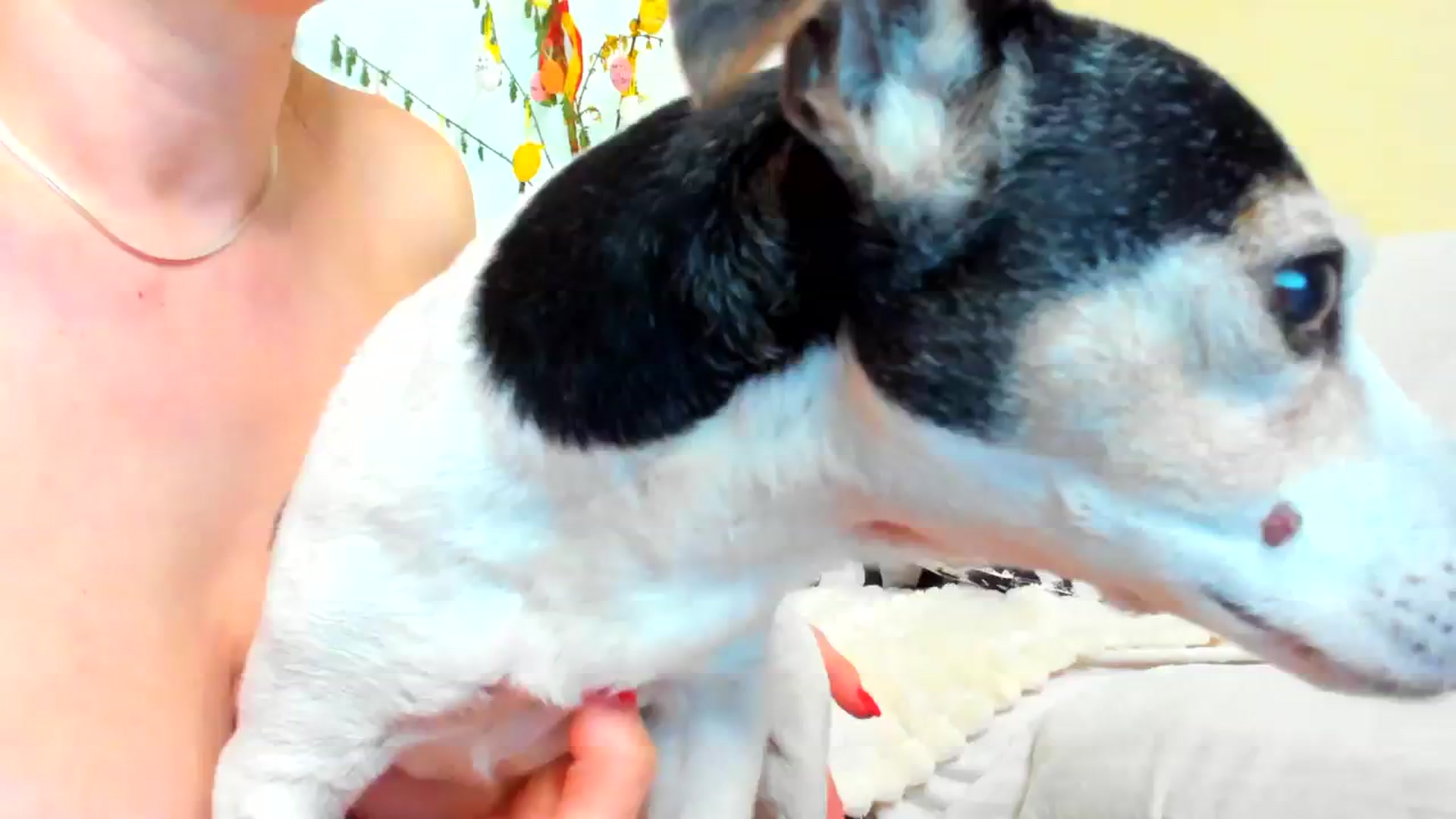 Gallery image thumbnail from SavannahMay's myfreecams stream on, 03/17/2024, 15:52 image 18 of 20