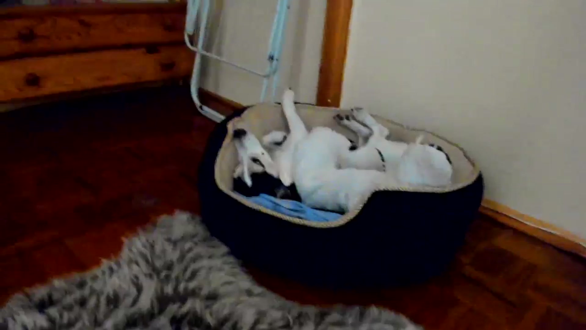 Gallery image thumbnail from SavannahMay's myfreecams stream on, 03/20/2024, 23:16 image 18 of 20