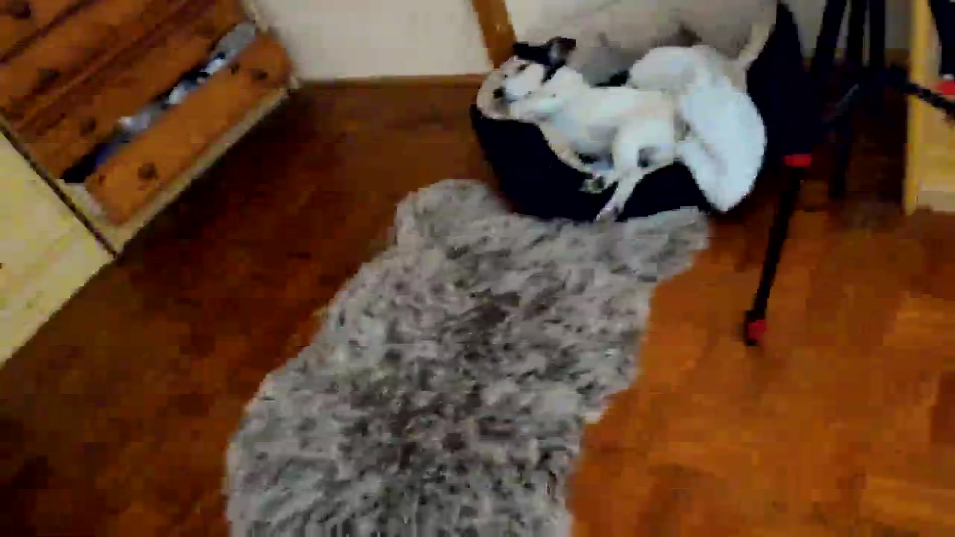 Gallery image thumbnail from SavannahMay's myfreecams stream on, 03/23/2024, 22:54 image 4 of 20
