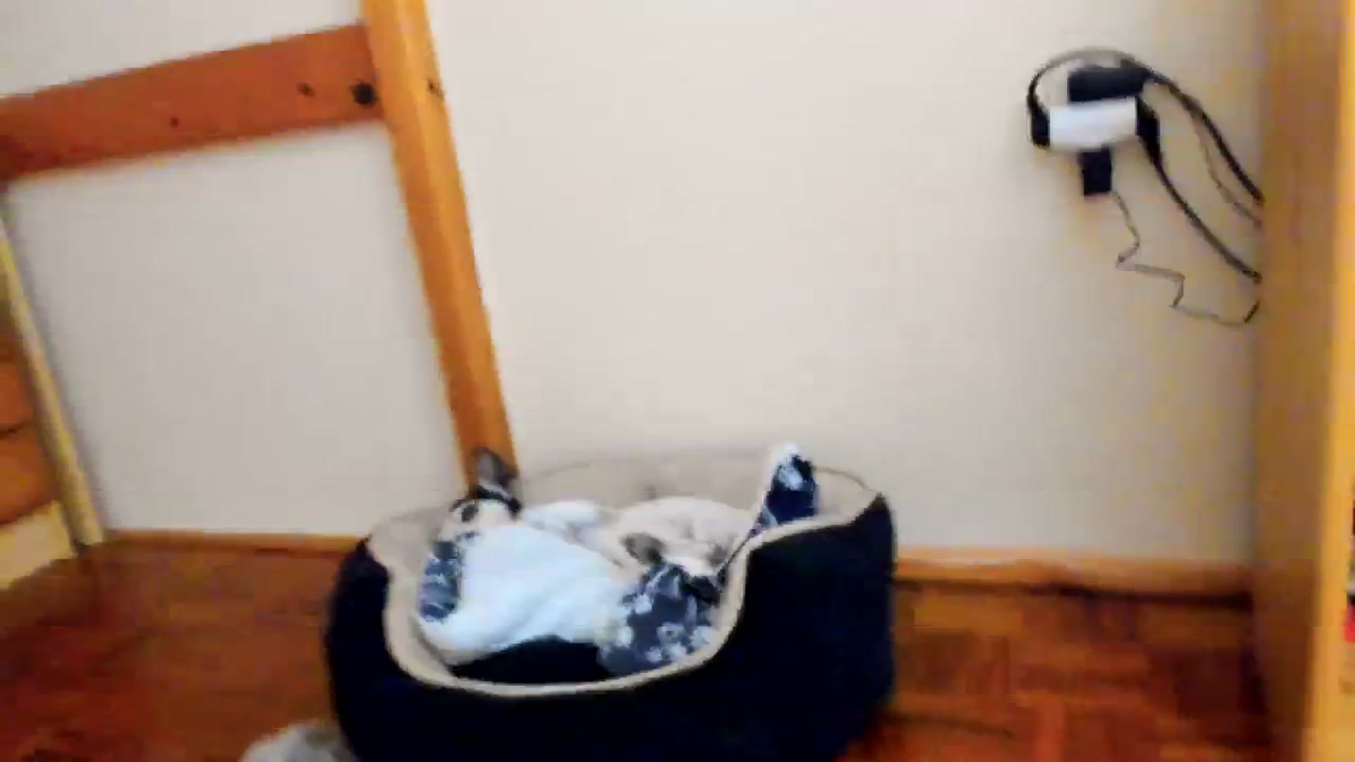 Gallery image thumbnail from SavannahMay's myfreecams stream on, 03/24/2024, 23:06 image 15 of 20