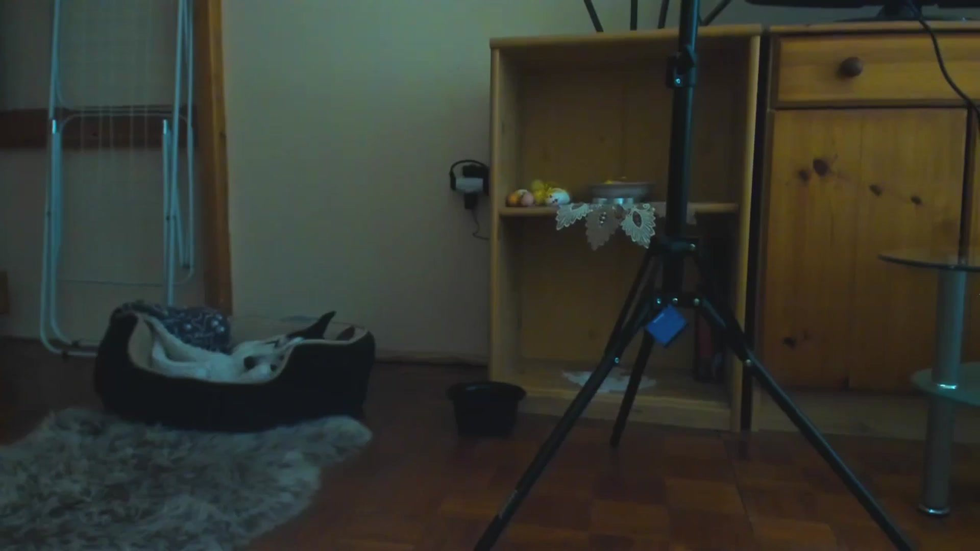 Gallery image thumbnail from SavannahMay's myfreecams stream on, 05/25/2024, 13:54 image 17 of 20