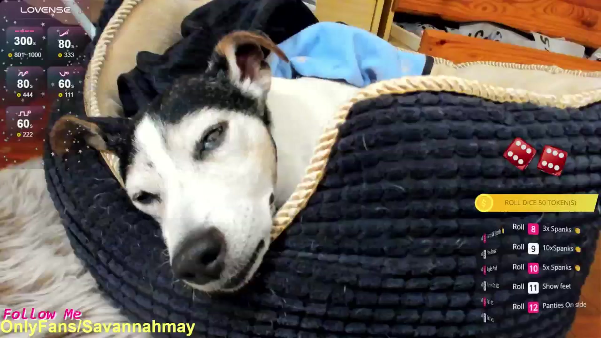 Gallery image thumbnail from SavannahMay's myfreecams stream on, 10/04/2024, 13:55 image 4 of 20