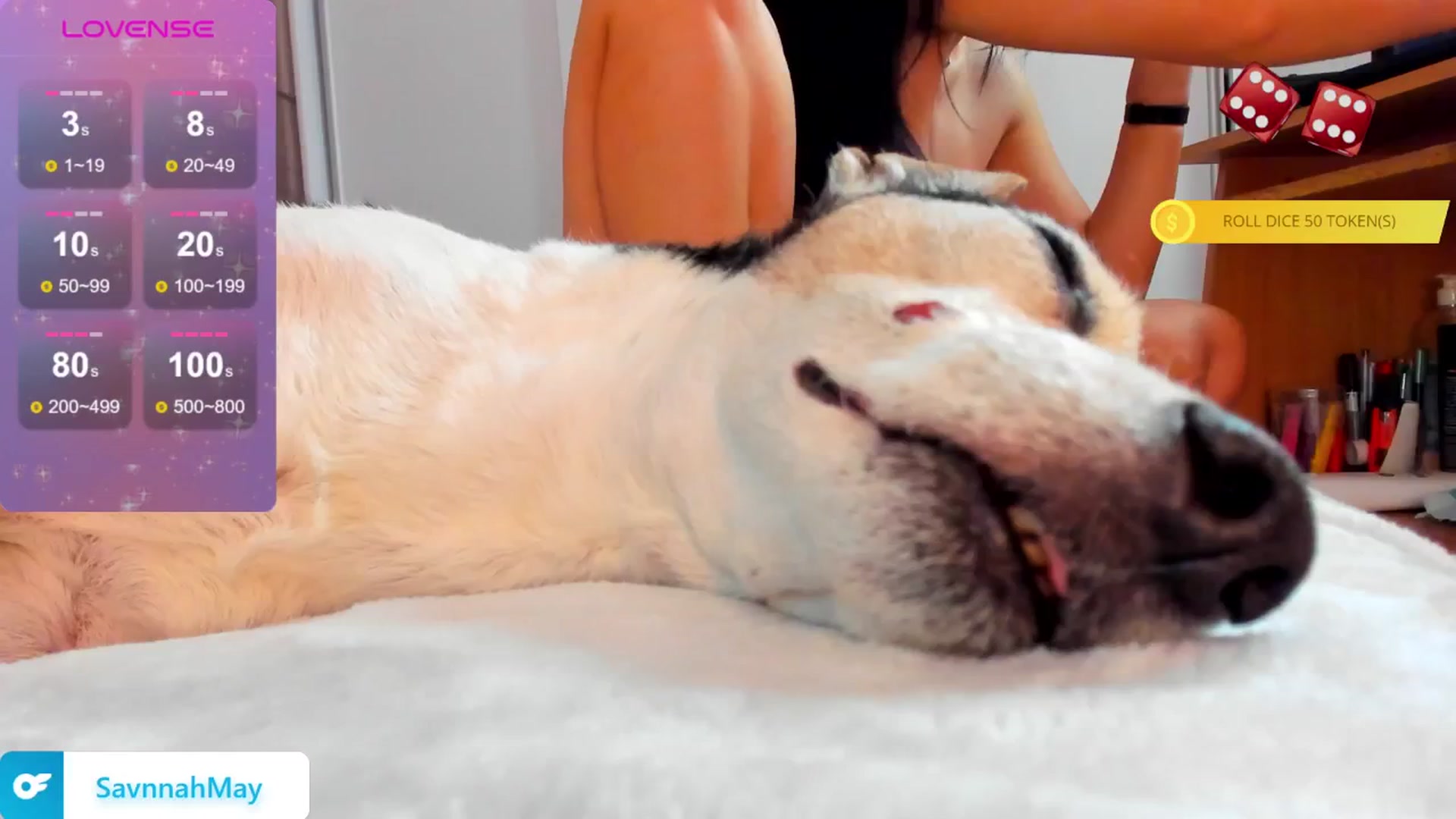 Gallery image thumbnail from SavannahMay's myfreecams stream on, 11/13/2024, 23:51 image 7 of 20
