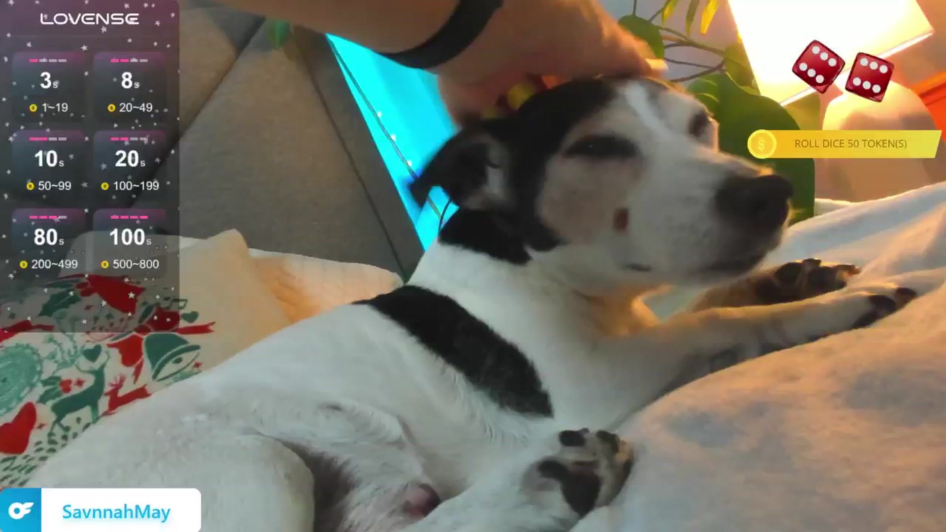 Gallery image thumbnail from SavannahMay's myfreecams stream on, 12/05/2024, 23:48 image 20 of 20