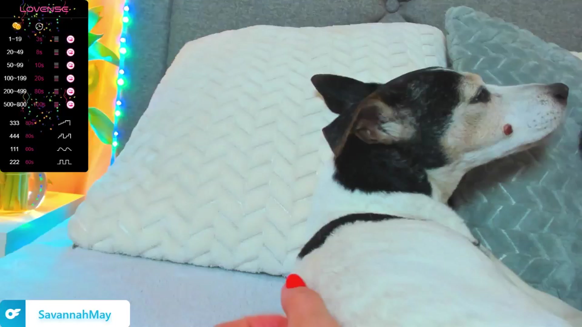 Gallery image thumbnail from SavannahMay's myfreecams stream on, 02/06/2025, 22:49 image 8 of 20
