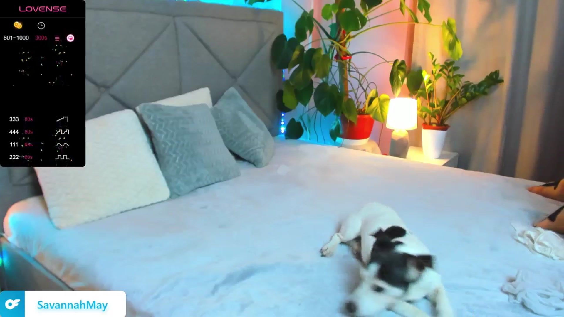 Gallery image thumbnail from SavannahMay's myfreecams stream on, 02/06/2025, 22:49 image 12 of 20