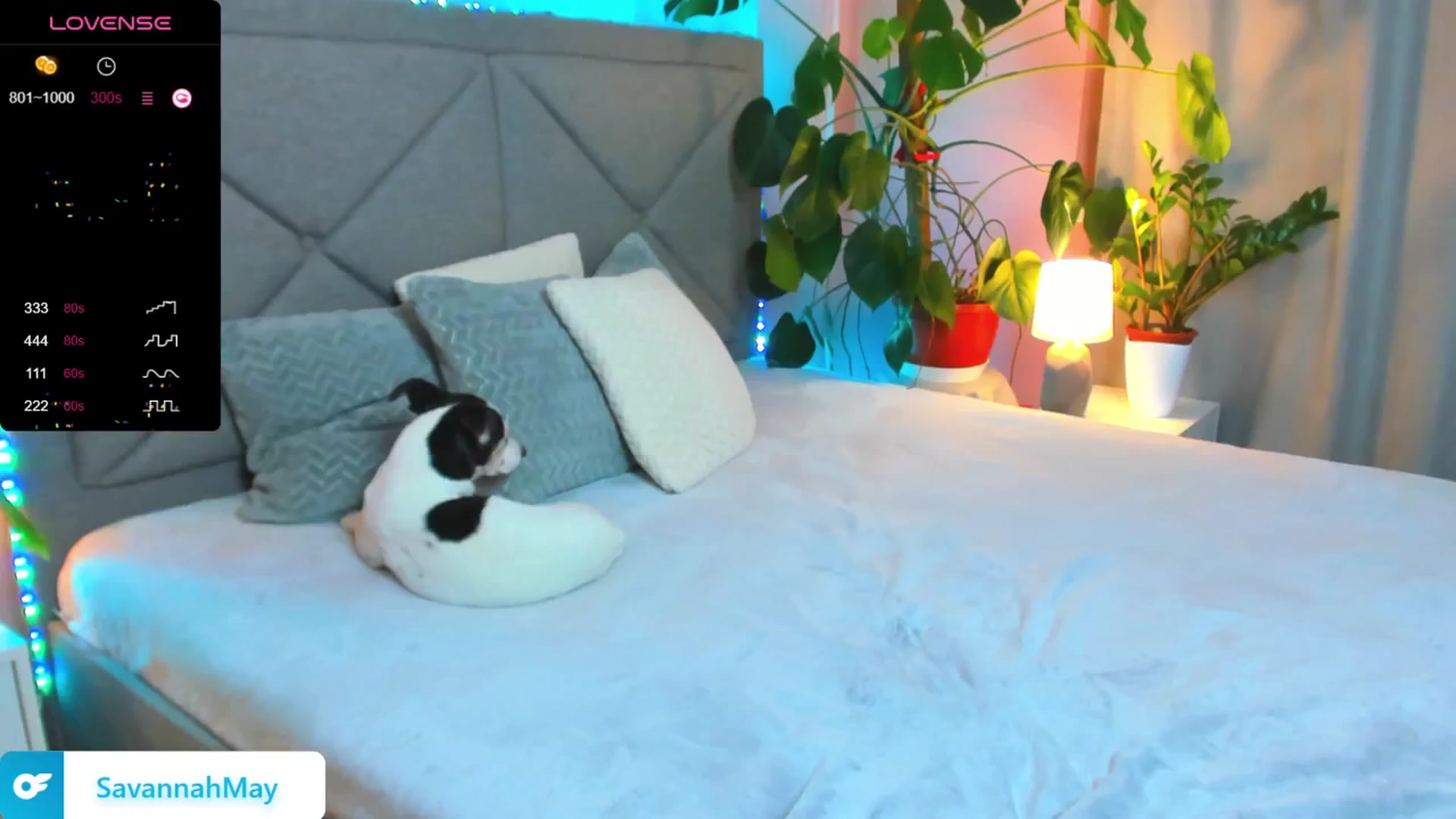 Gallery image thumbnail from SavannahMay's myfreecams stream on, 02/06/2025, 22:49 image 2 of 20