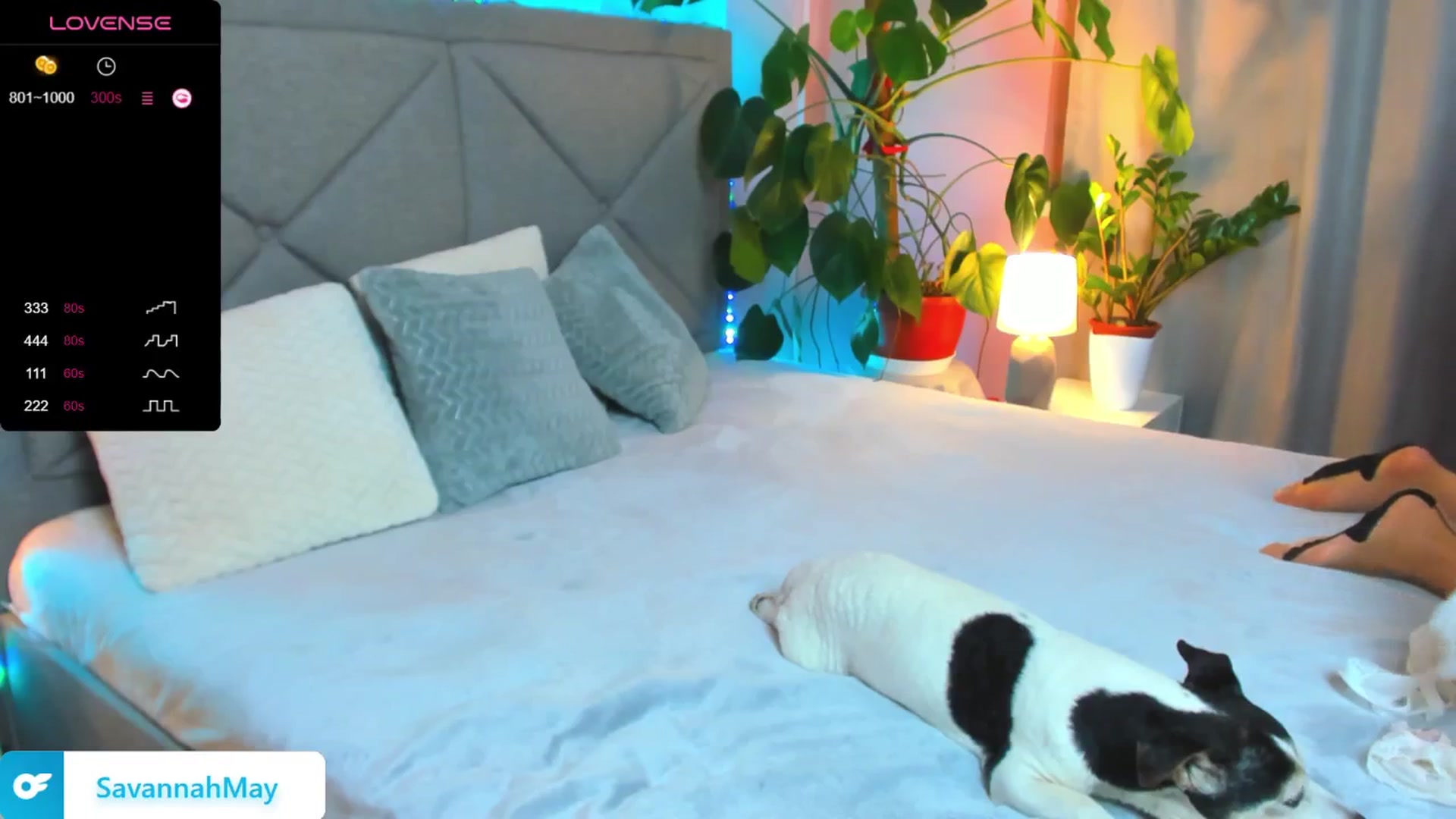 Gallery image thumbnail from SavannahMay's myfreecams stream on, 02/06/2025, 22:49 image 11 of 20