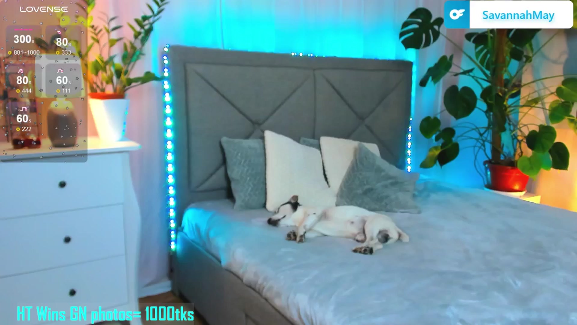 Gallery image thumbnail from SavannahMay's myfreecams stream on, 03/30/2025, 24:25 image 13 of 20