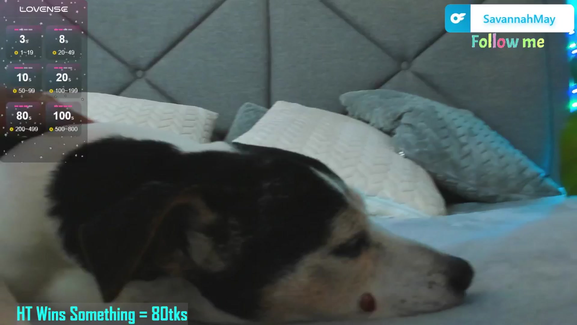 Gallery image thumbnail from SavannahMay's myfreecams stream on, 04/02/2025, 23:09 image 3 of 20
