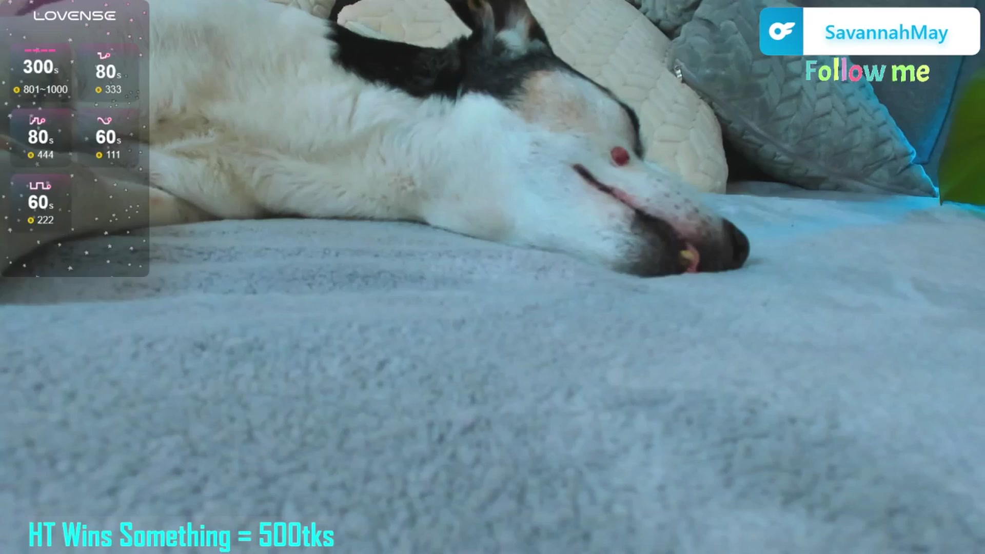 Gallery image thumbnail from SavannahMay's myfreecams stream on, 04/02/2025, 23:09 image 5 of 20