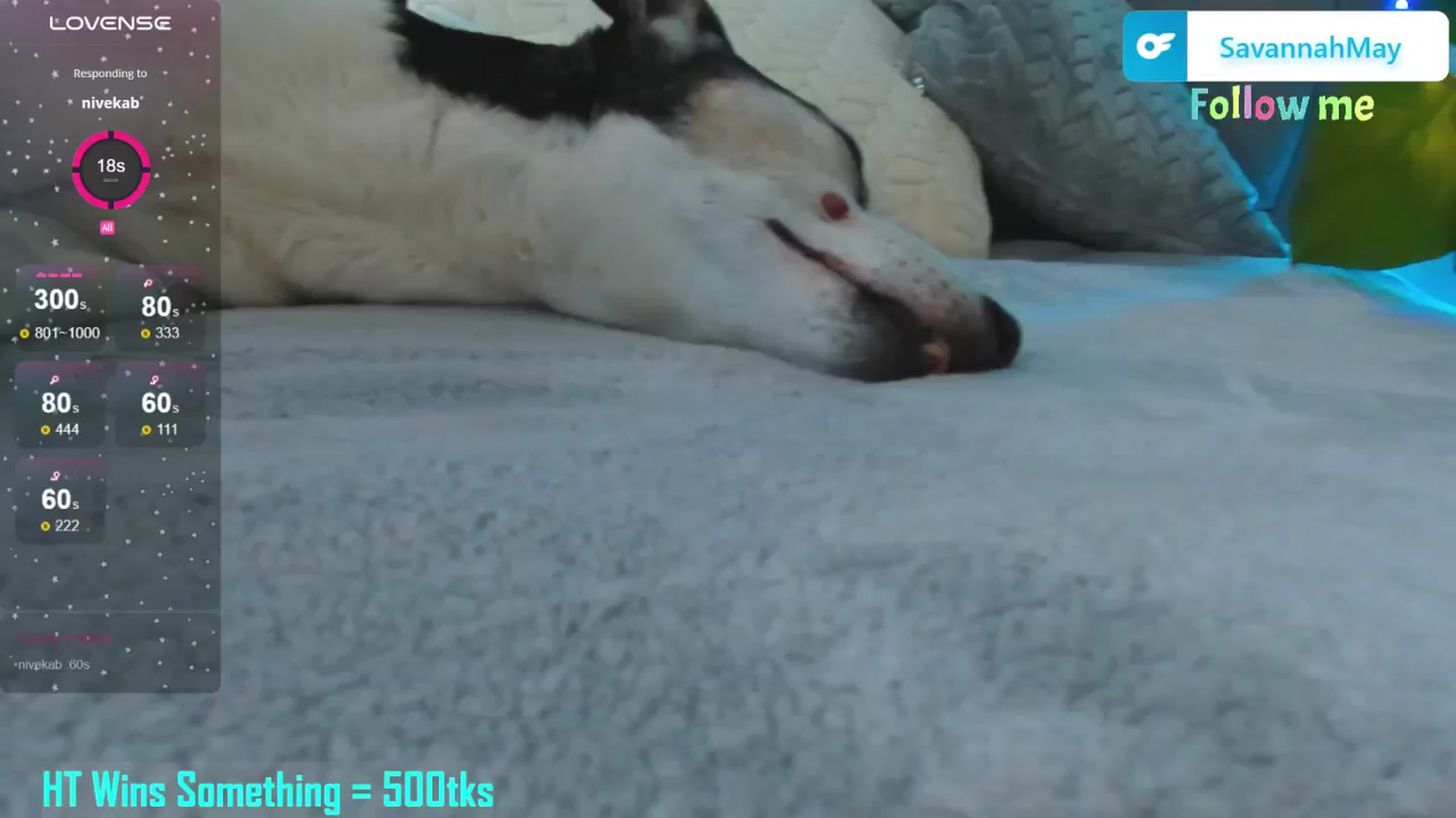 Gallery image thumbnail from SavannahMay's myfreecams stream on, 04/02/2025, 23:09 image 6 of 20