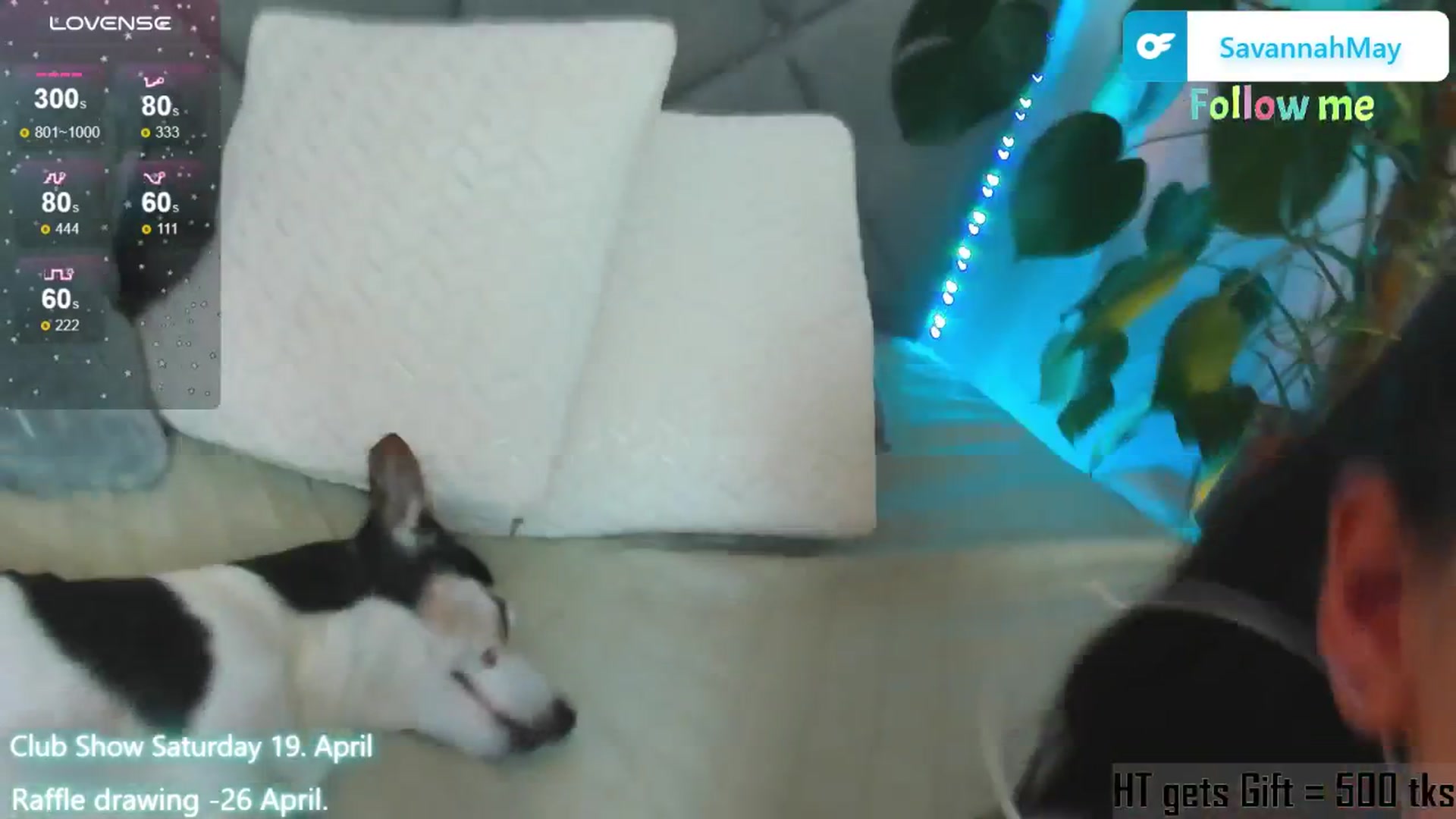 Gallery image thumbnail from SavannahMay's myfreecams stream on, 04/18/2025, 22:53 image 20 of 20