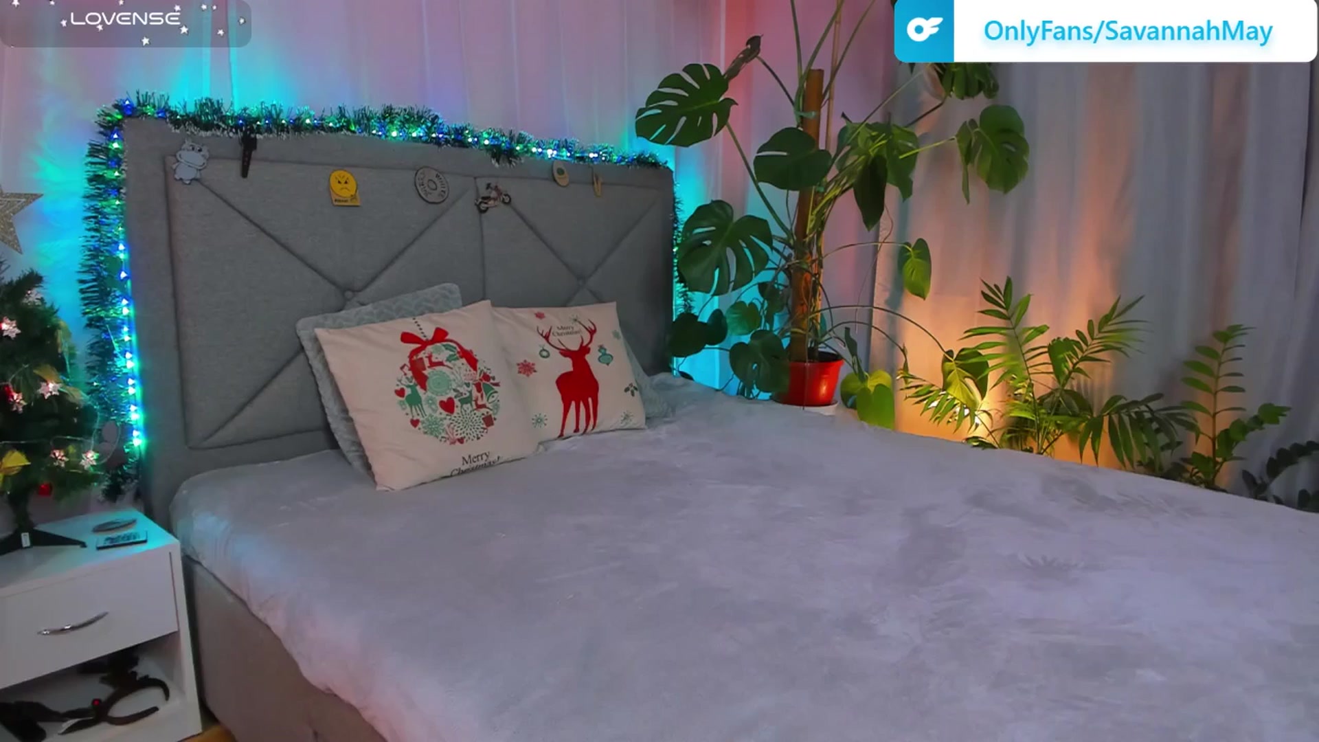 Gallery image thumbnail from SavannahMay's myfreecams stream on, 12/19/2025, 21:57 image 6 of 20