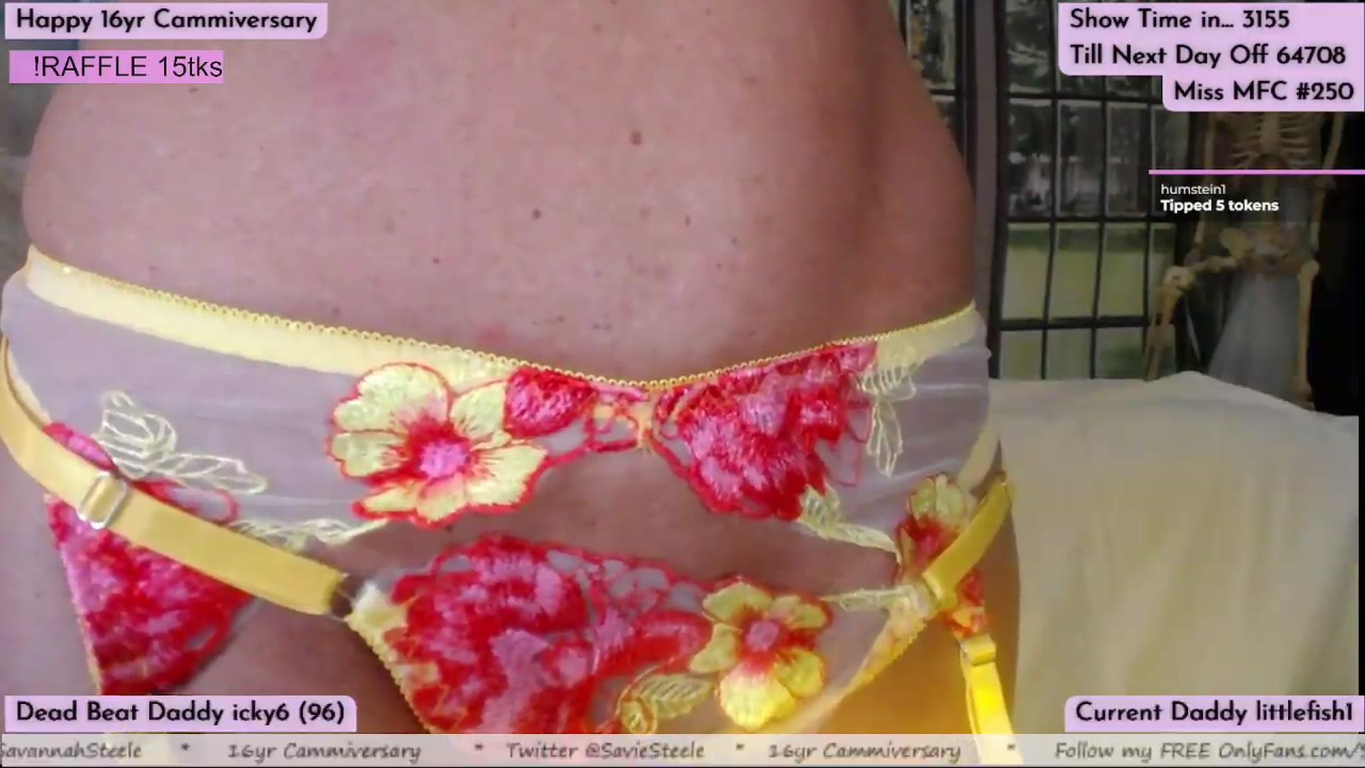 Gallery image thumbnail from SavannahSteel's myfreecams stream on, 08/25/2026, 22:25 image 10 of 20