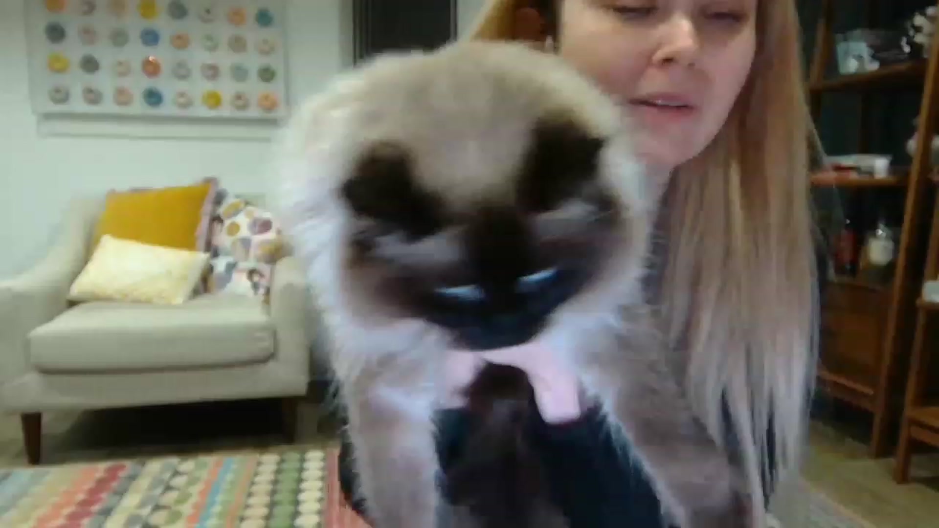 Gallery image thumbnail from SaylemUK's myfreecams stream on, 01/13/2023, 01:41 image 6 of 20