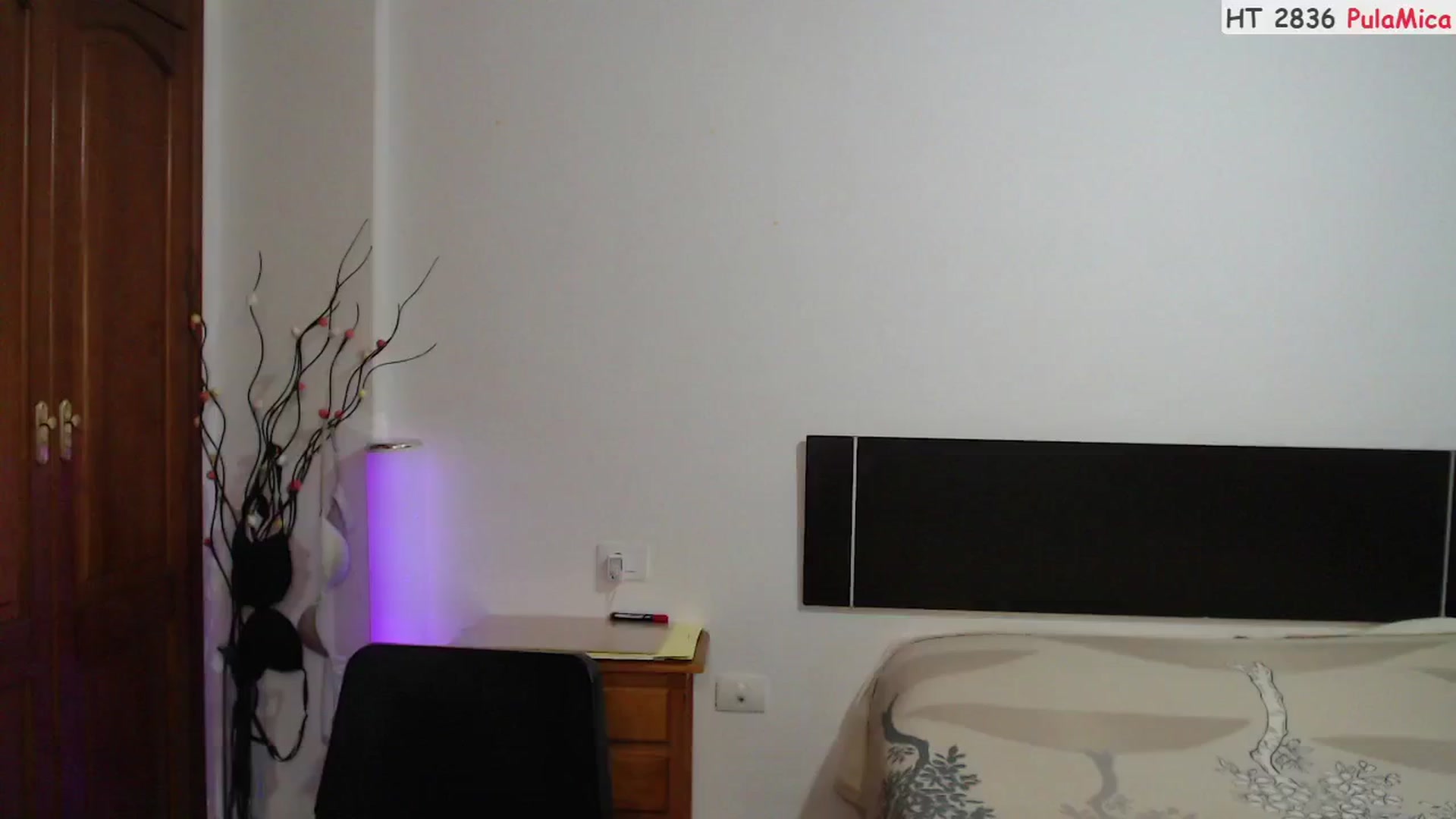Gallery image thumbnail from ScamRoom's myfreecams stream on, 08/12/2024, 24:42 image 9 of 20
