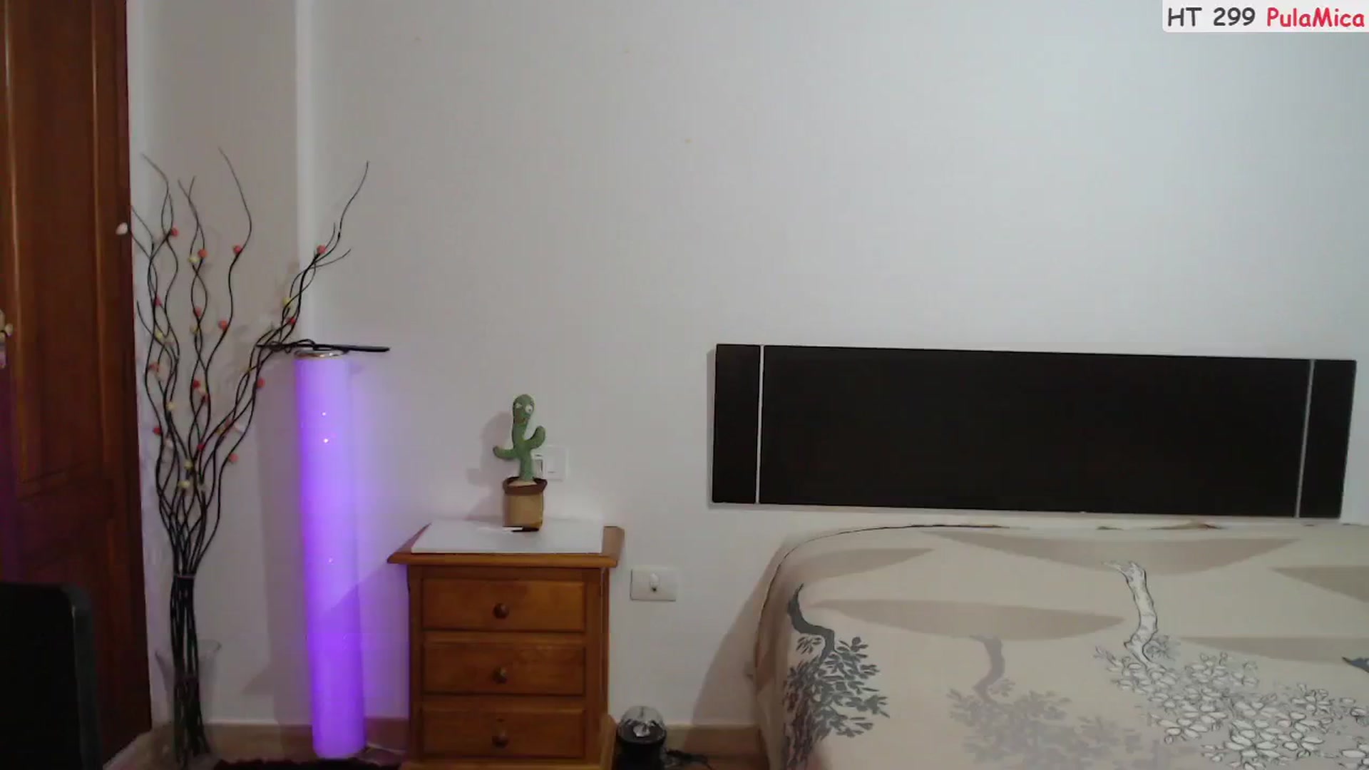 Gallery image thumbnail from ScamRoom's myfreecams stream on, 09/09/2024, 24:52 image 4 of 20