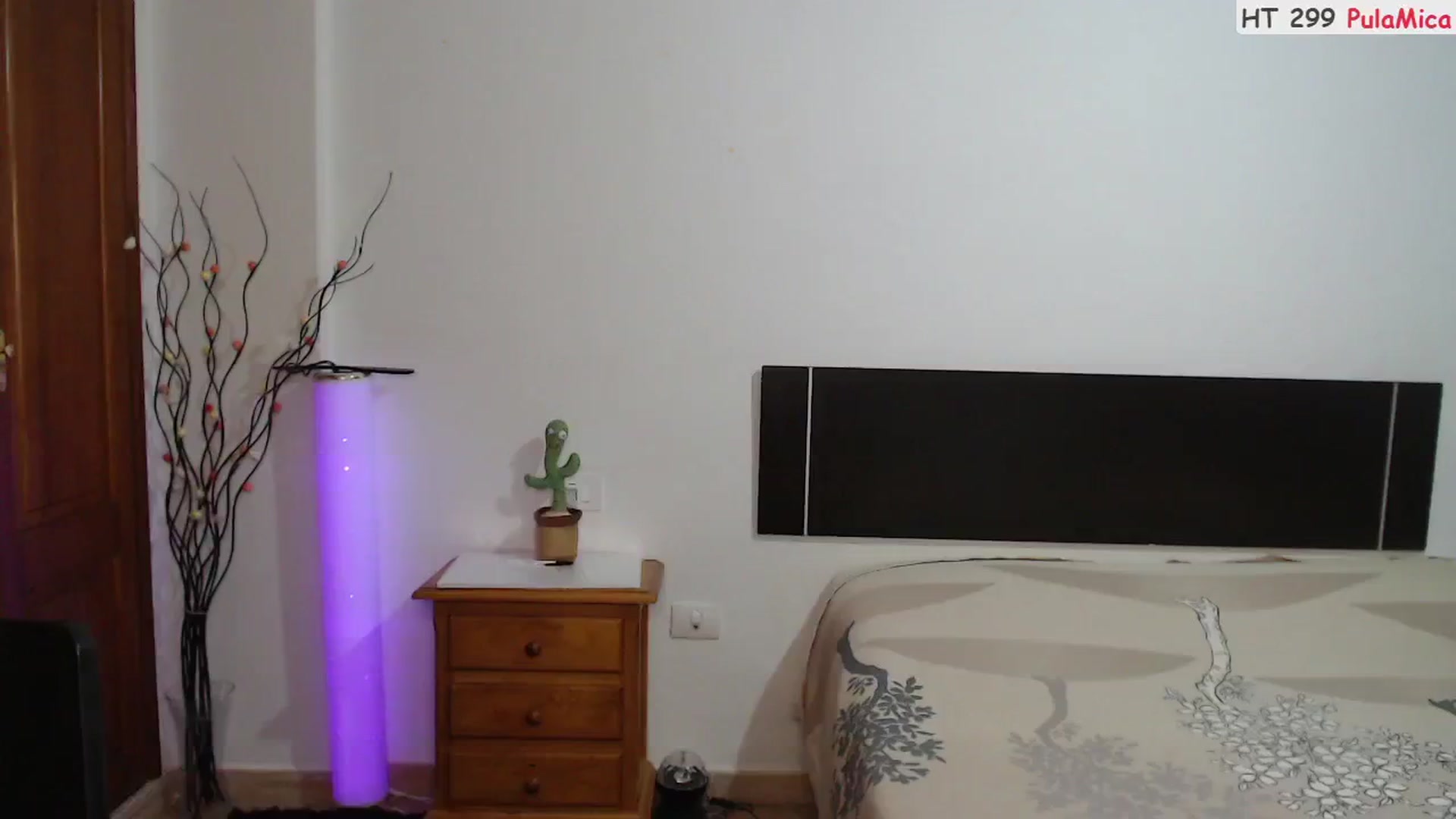 Gallery image thumbnail from ScamRoom's myfreecams stream on, 09/09/2024, 24:52 image 3 of 20