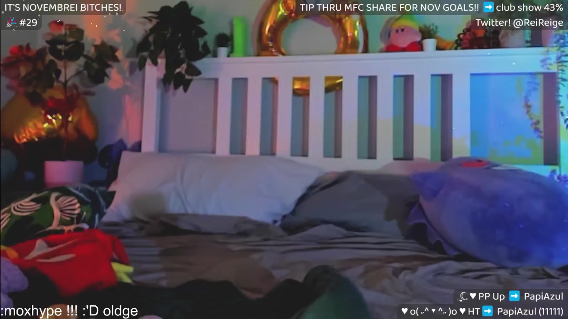 Gallery image thumbnail from Scammiversary's myfreecams stream on, 11/23/2024, 16:55 image 14 of 20